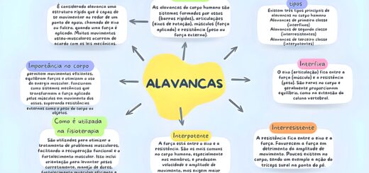 MAPA MENTAL SOBRE ALAVANCAS