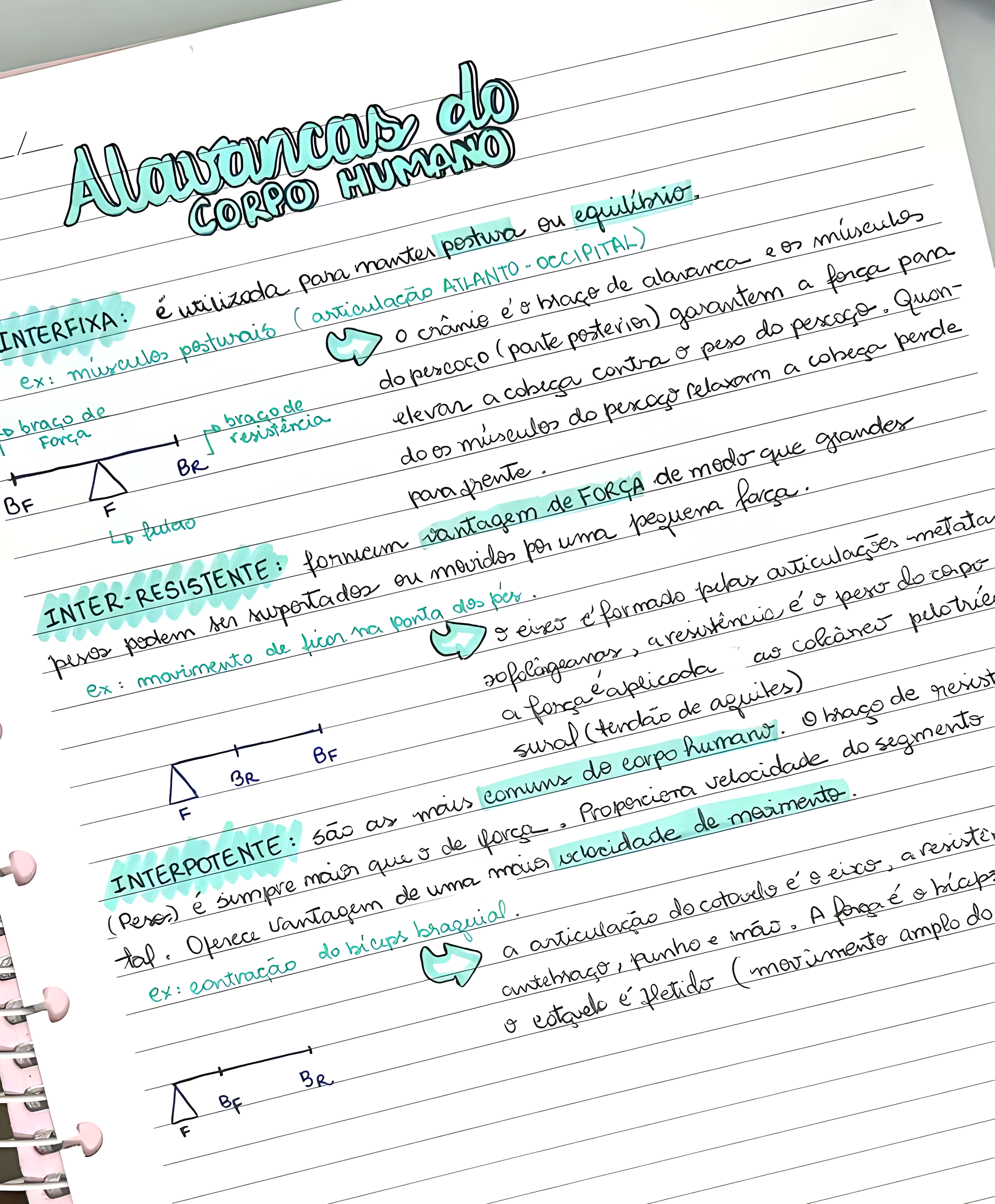 MAPA MENTAL SOBRE ALAVANCAS