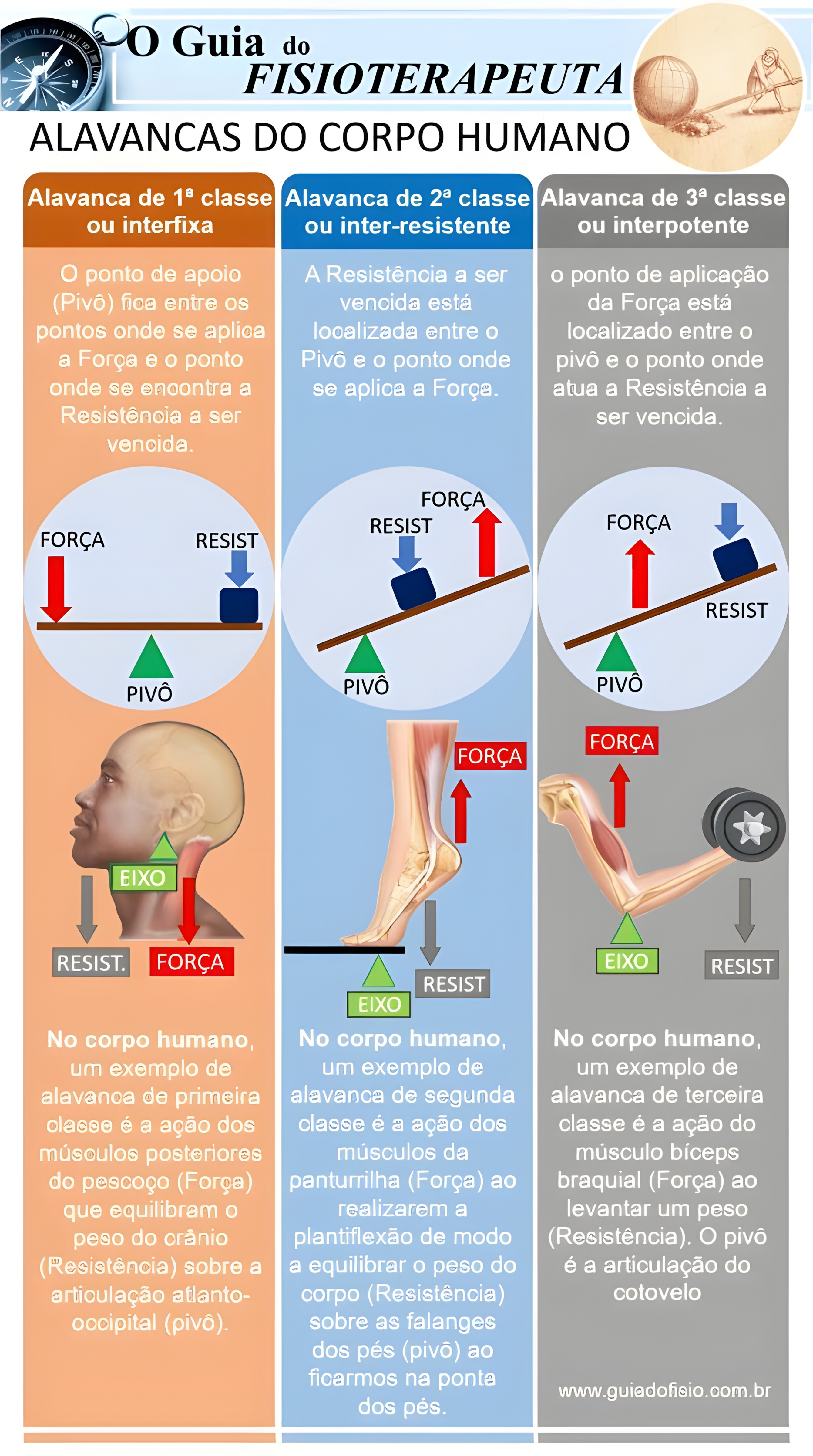 MAPA MENTAL SOBRE ALAVANCAS
