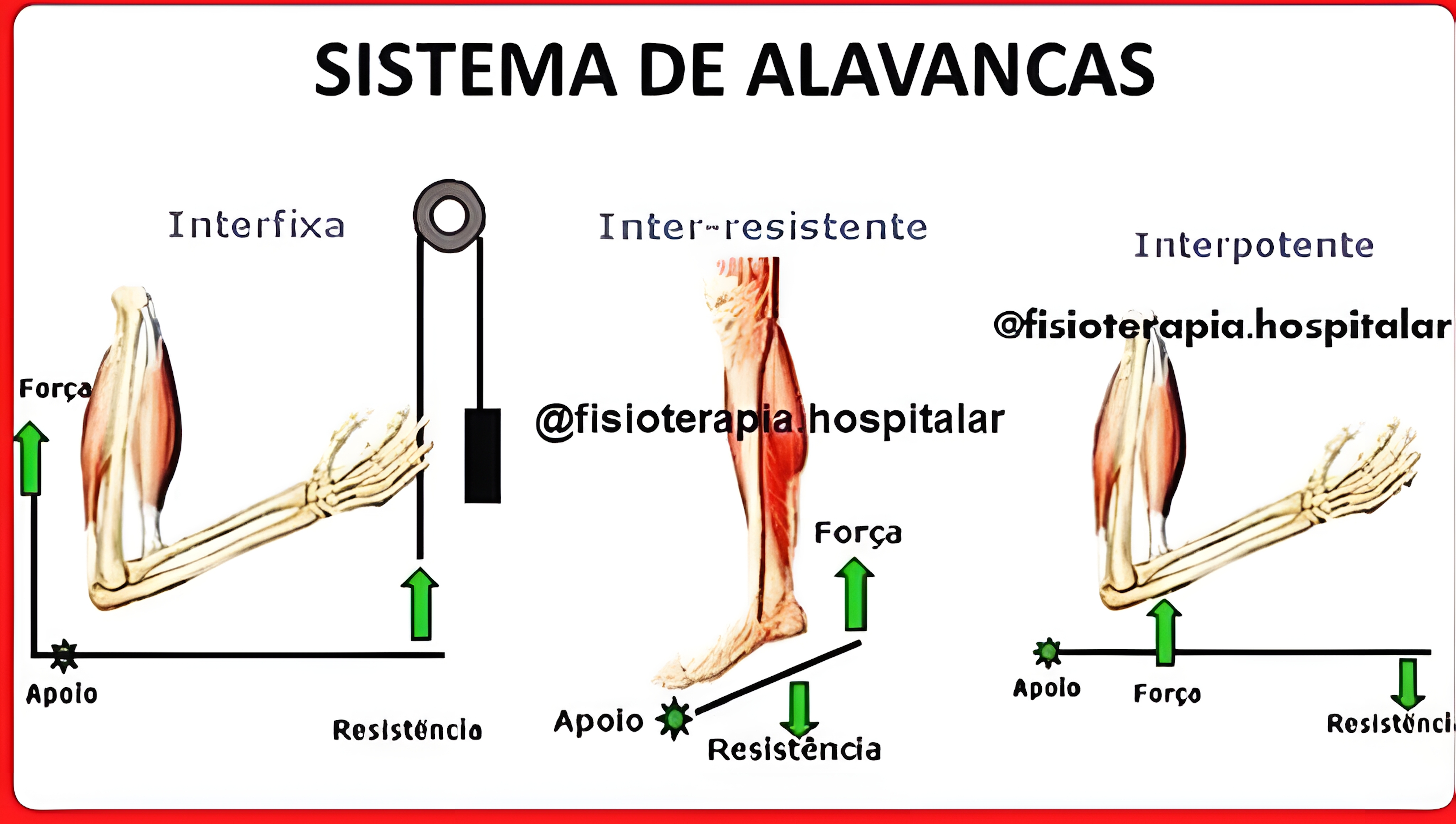 MAPA MENTAL SOBRE ALAVANCAS