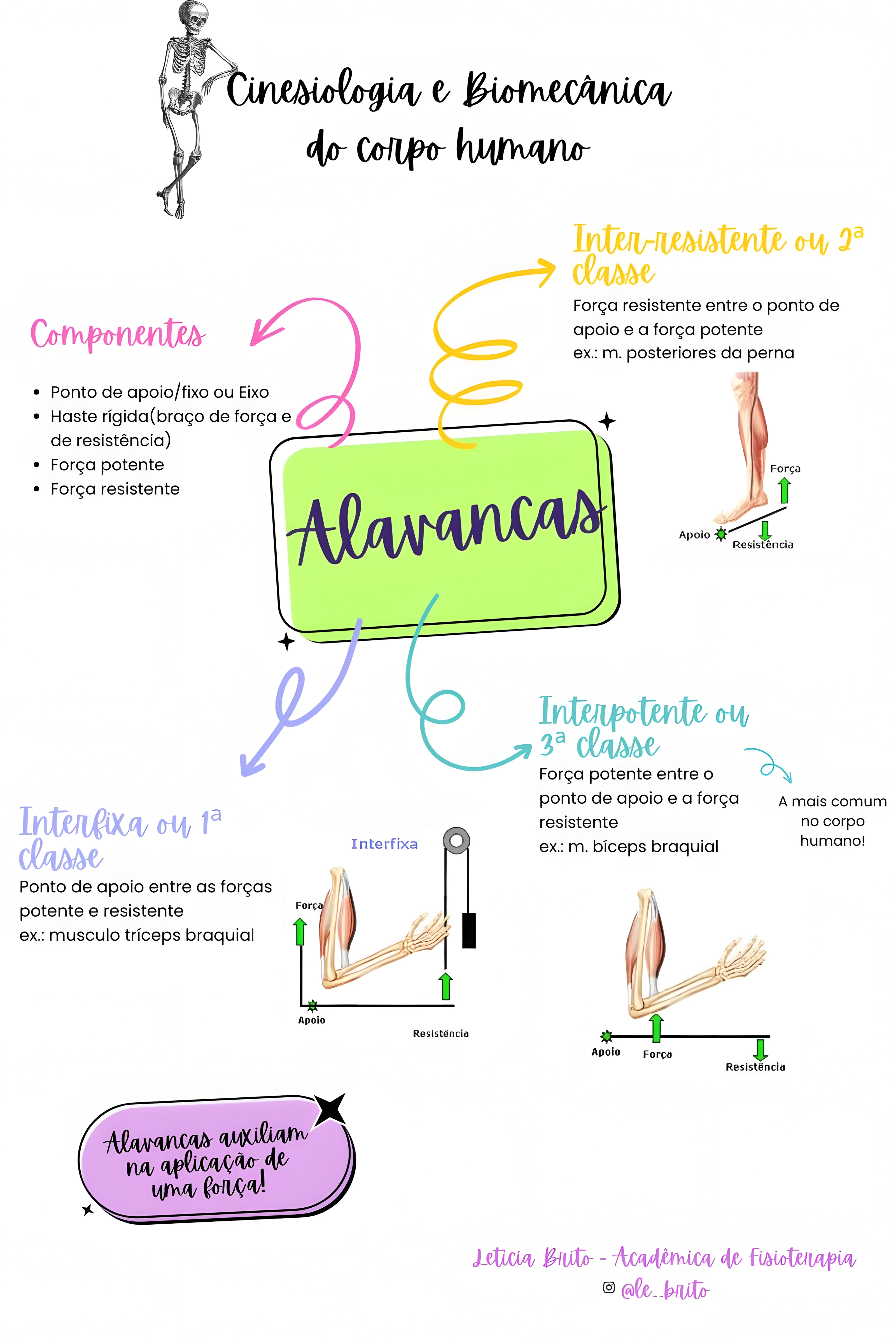 MAPA MENTAL SOBRE ALAVANCAS