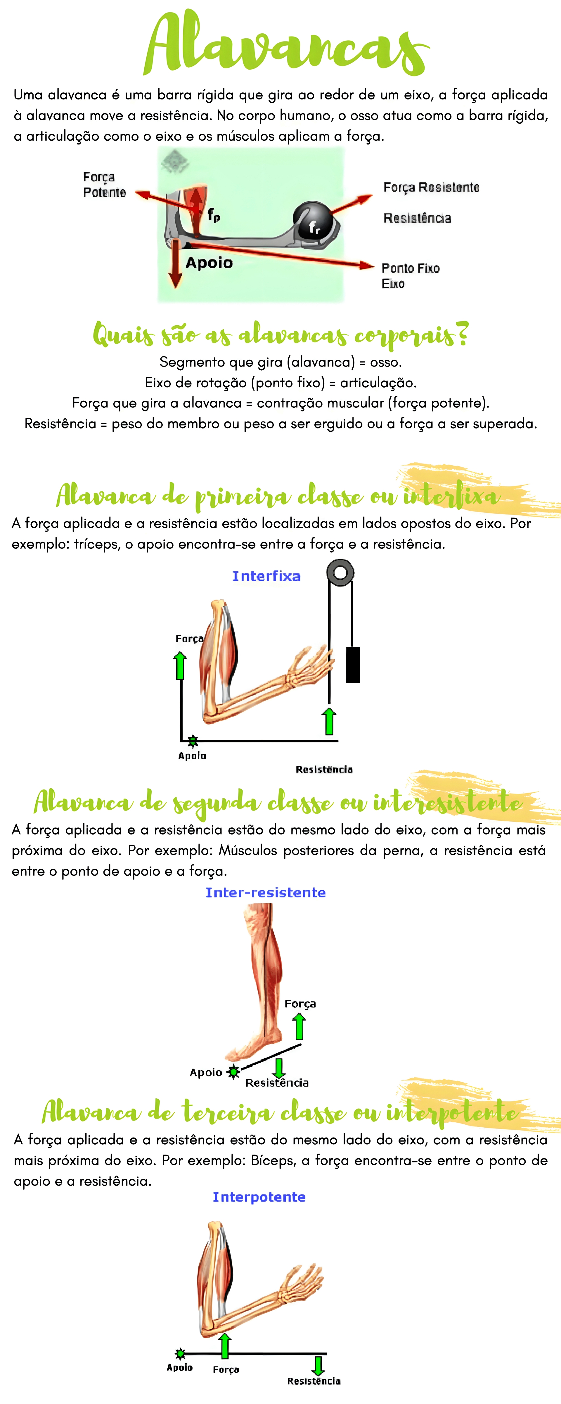 MAPA MENTAL SOBRE ALAVANCAS