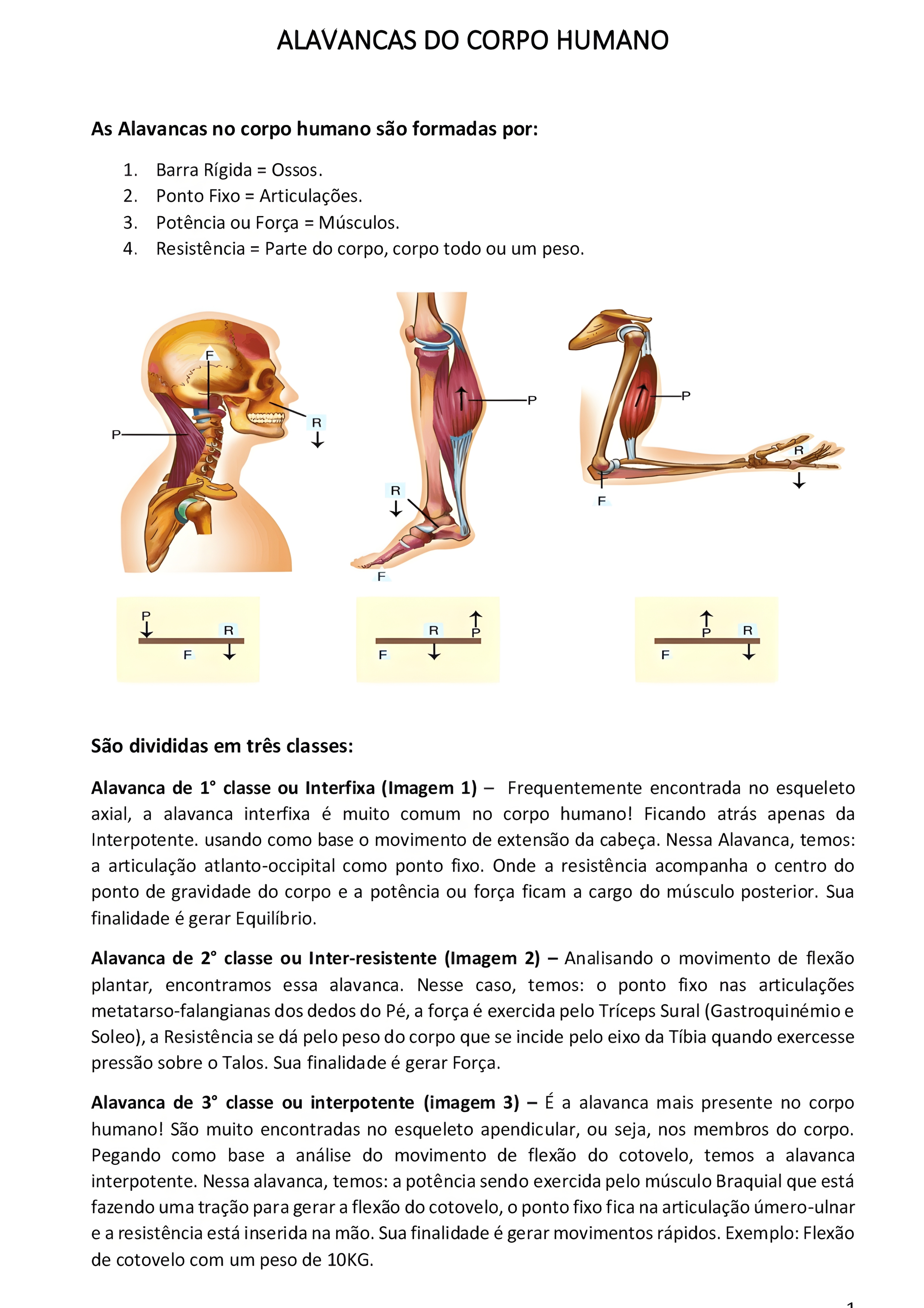 MAPA MENTAL SOBRE ALAVANCAS