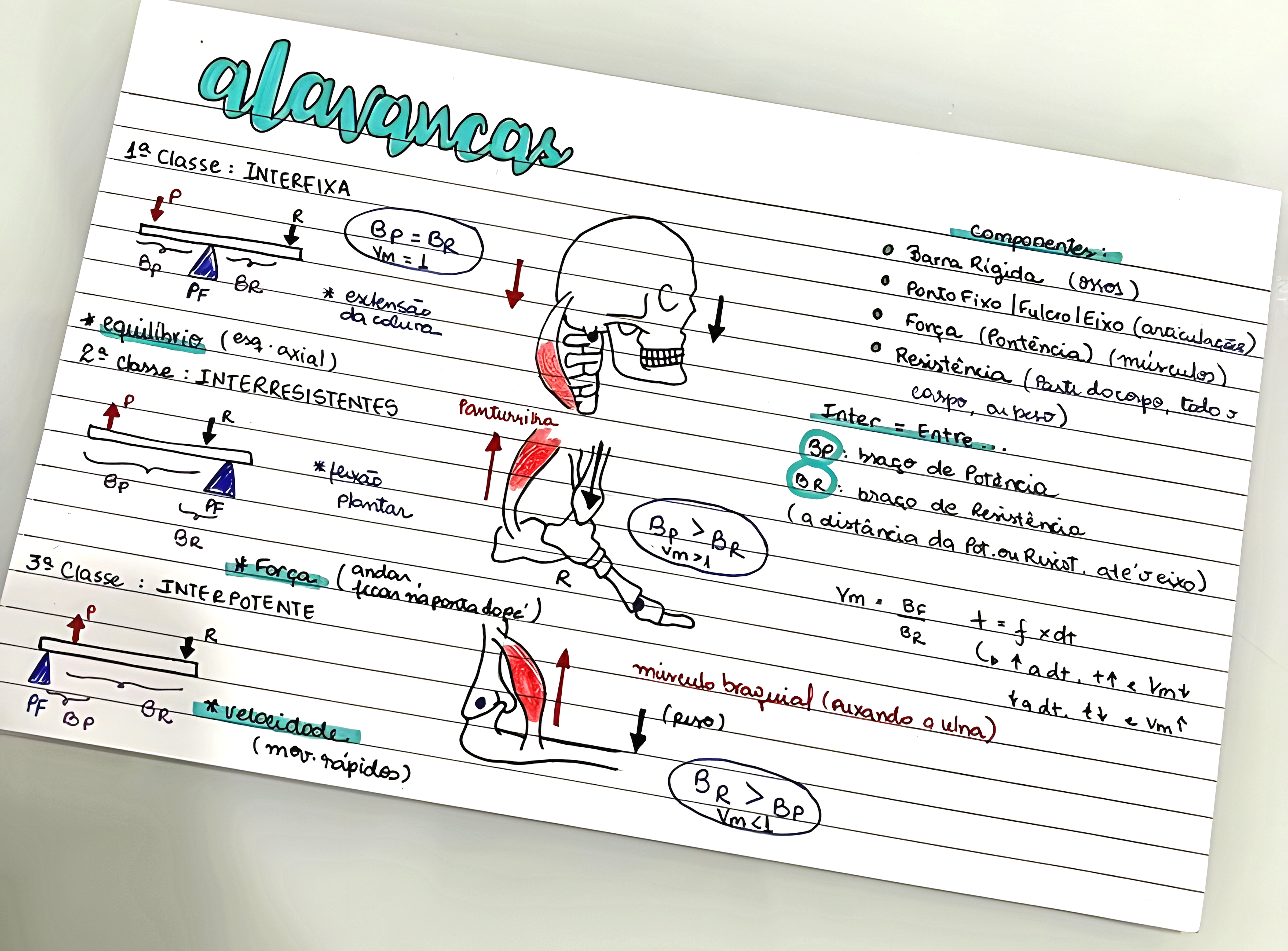 MAPA MENTAL SOBRE ALAVANCAS