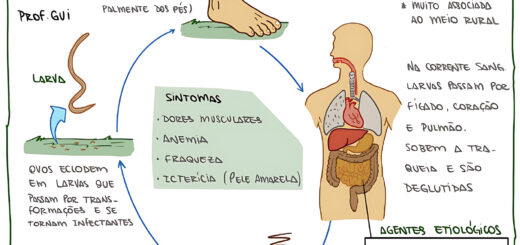 MAPA MENTAL SOBRE ANCILOSTOMOSE