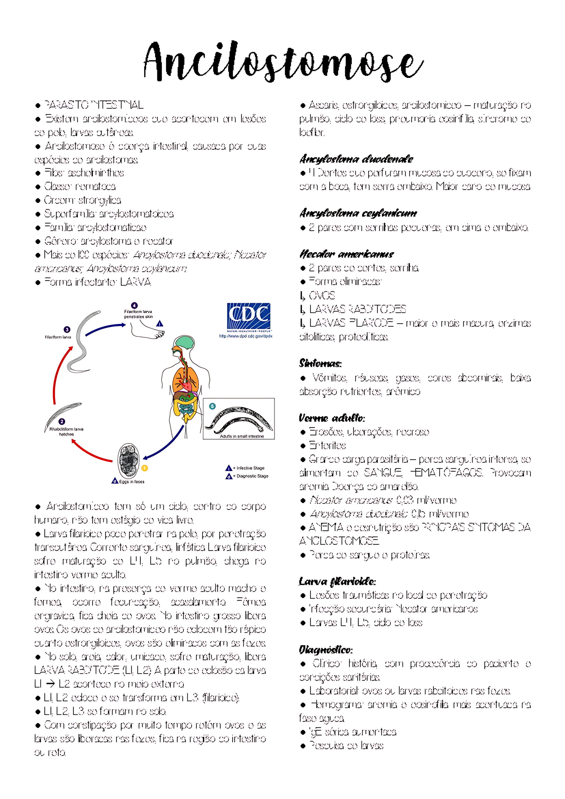 MAPA MENTAL SOBRE ANCILOSTOMOSE