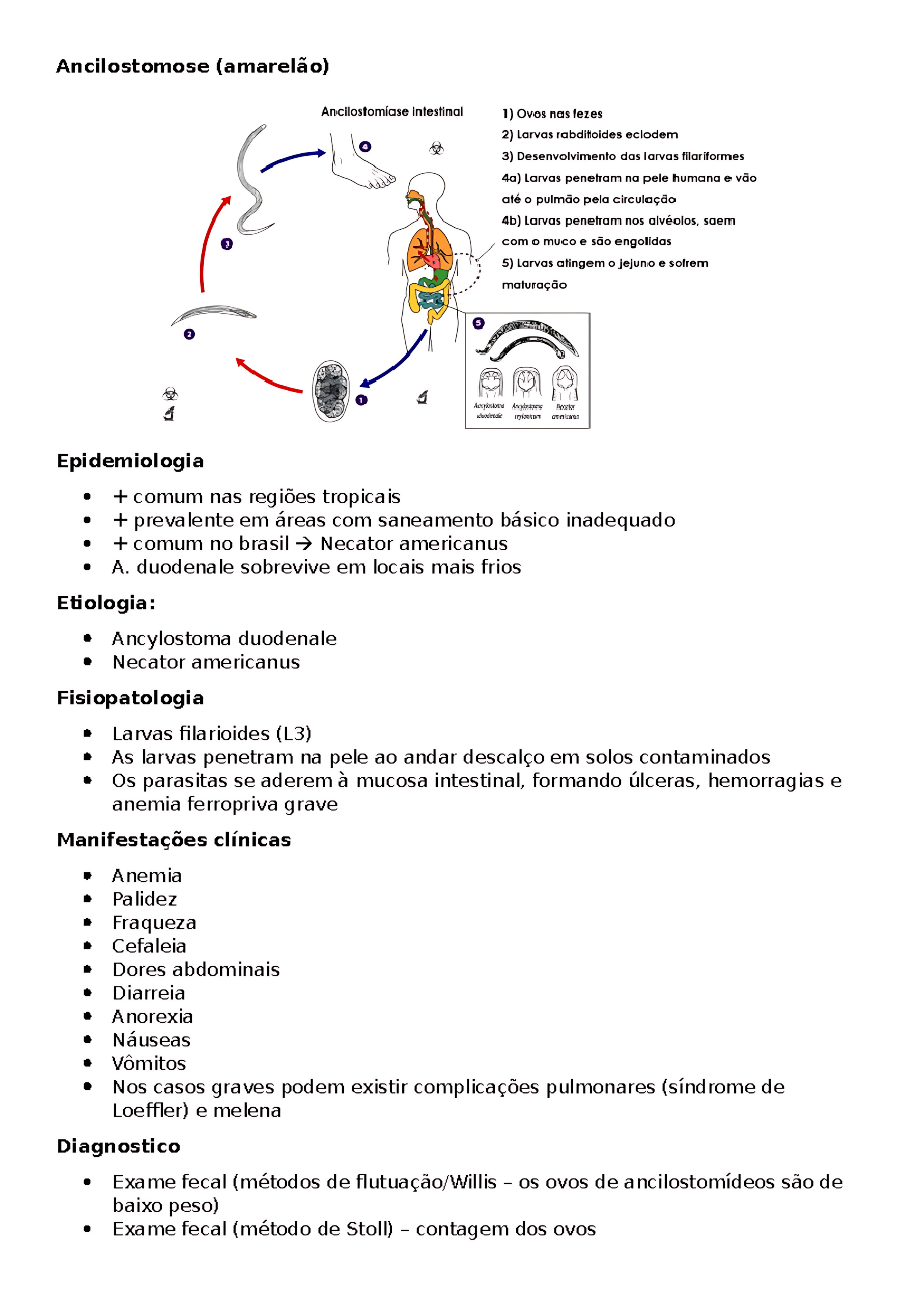 MAPA MENTAL SOBRE ANCILOSTOMOSE