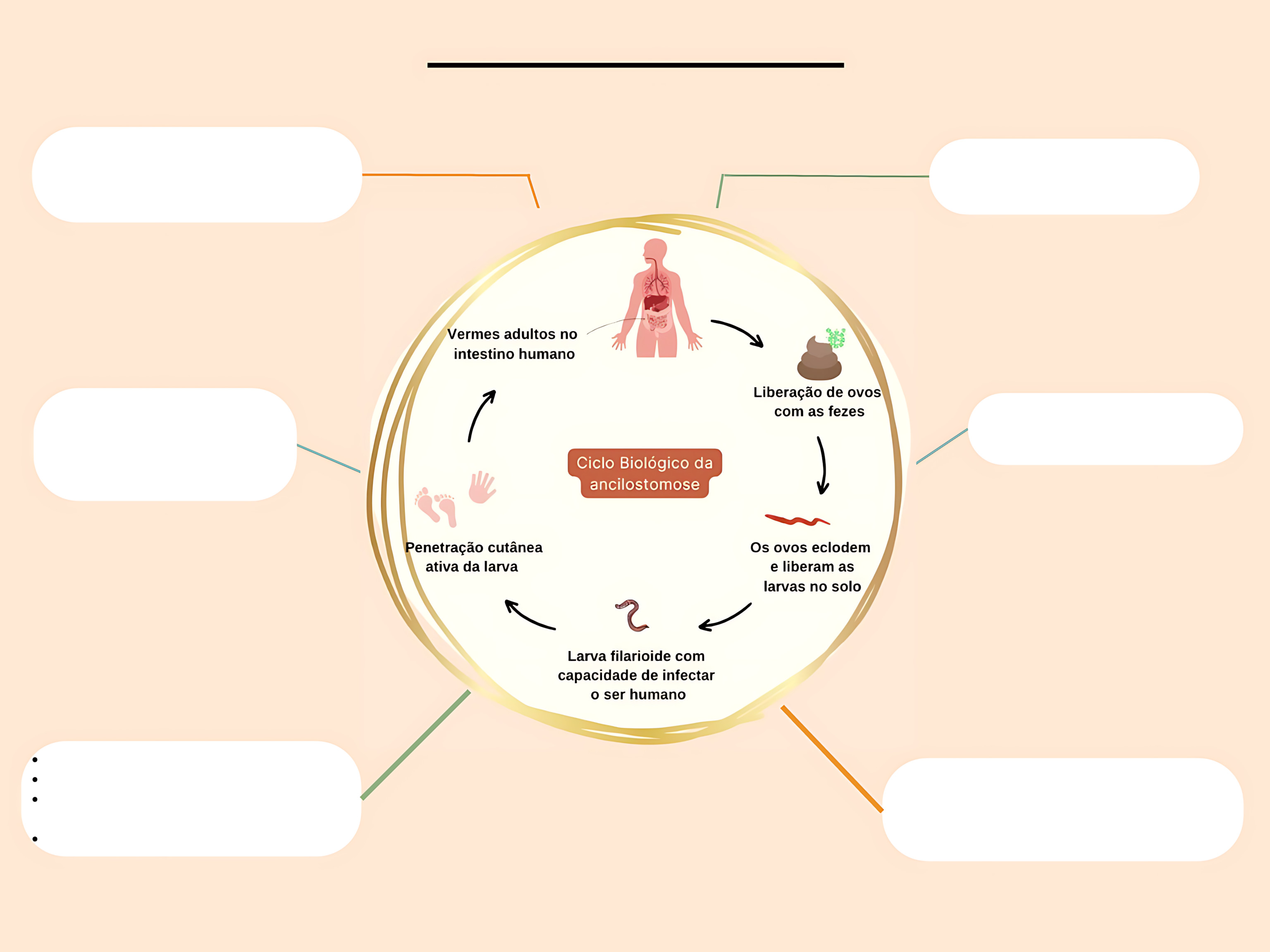 MAPA MENTAL SOBRE ANCILOSTOMOSE