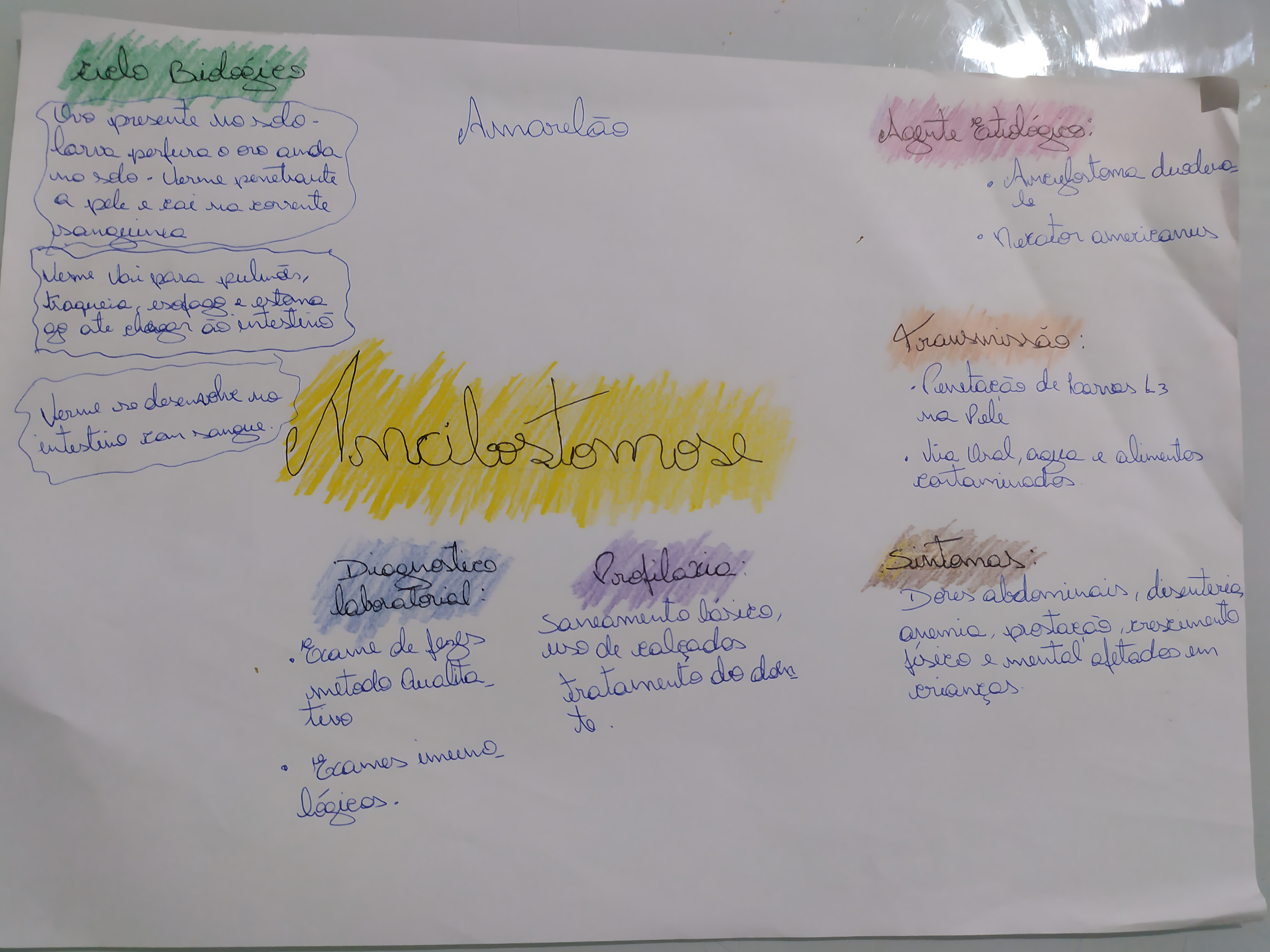 MAPA MENTAL SOBRE ANCILOSTOMOSE