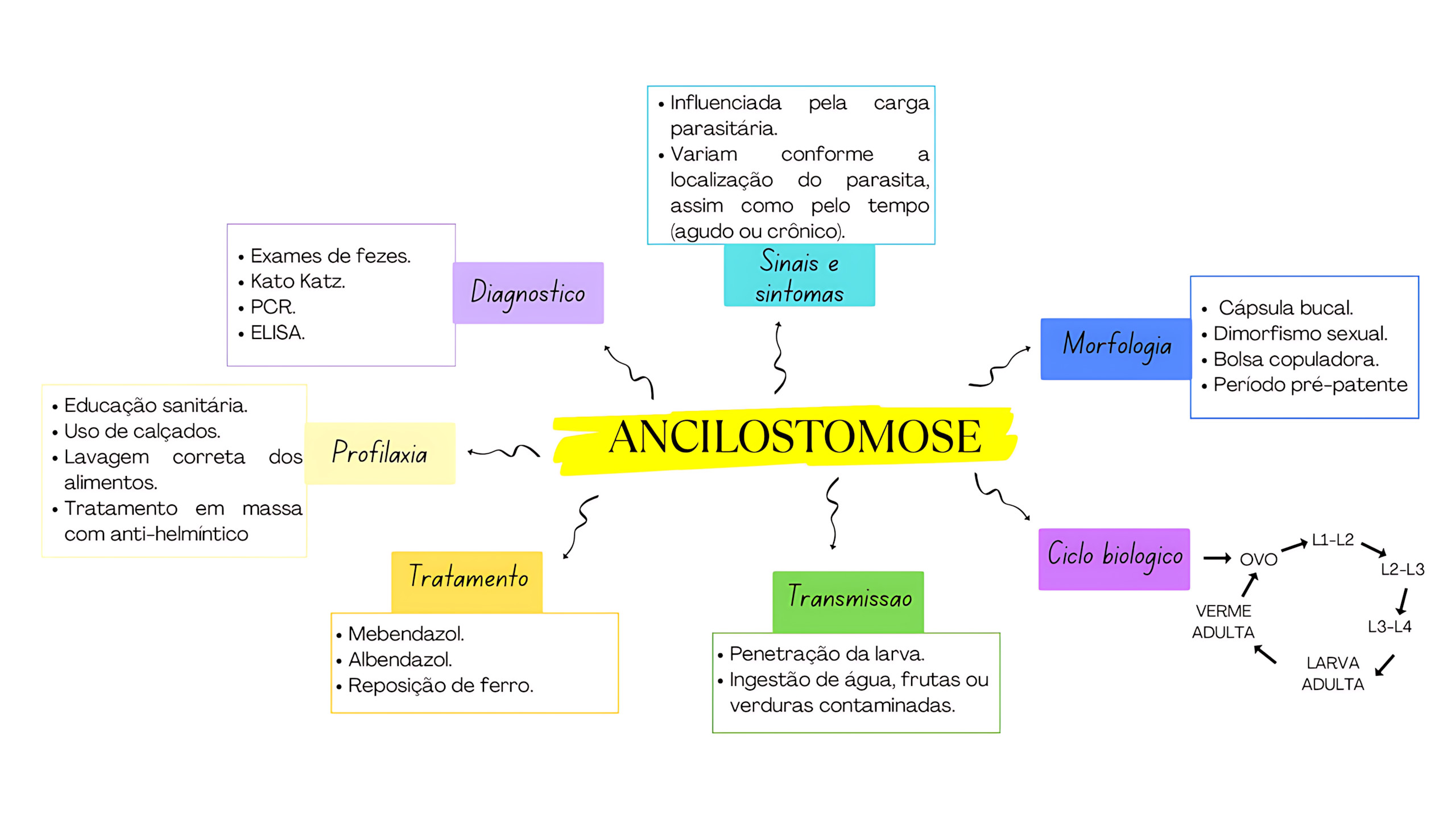 MAPA MENTAL SOBRE ANCILOSTOMOSE