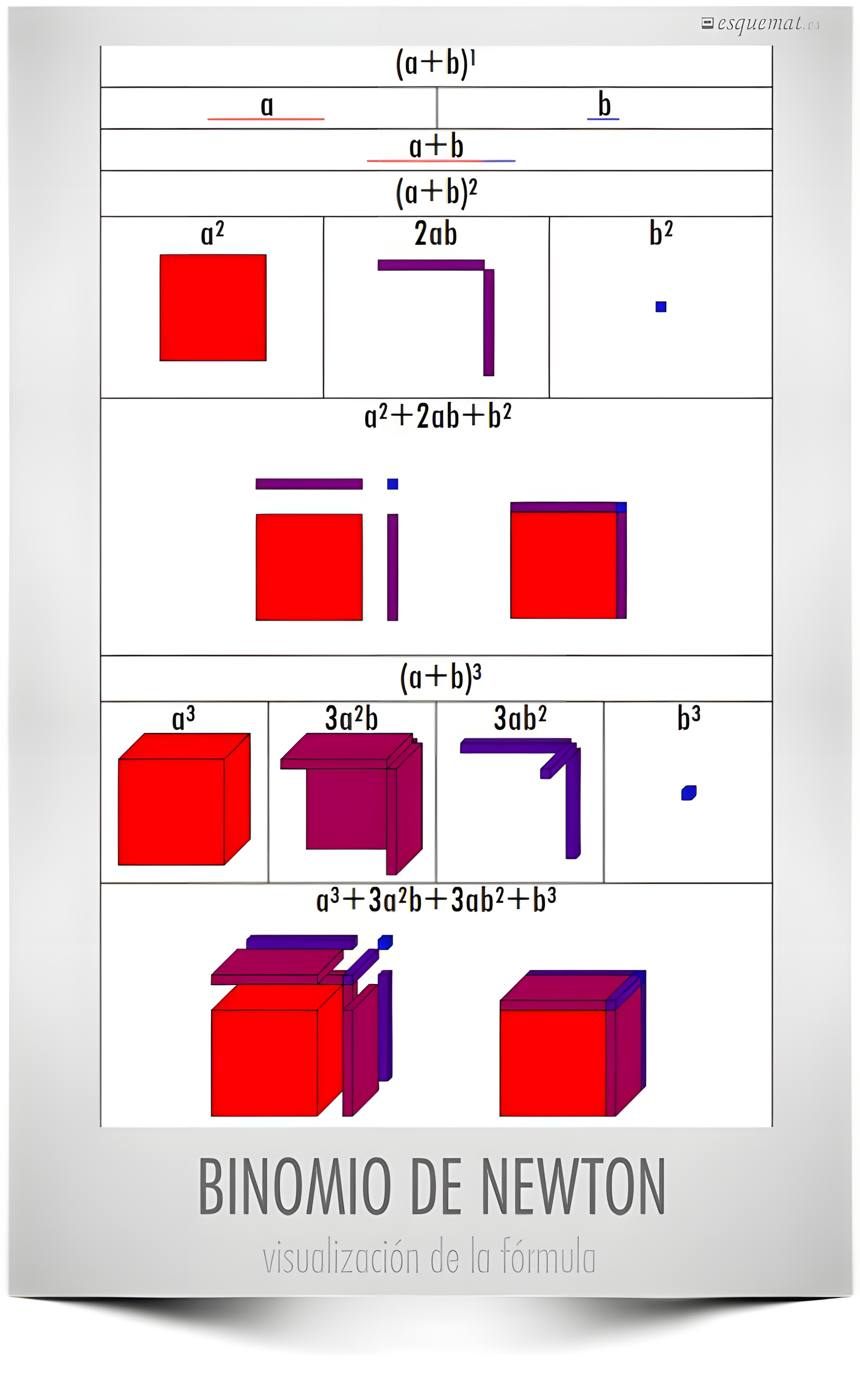 MAPA MENTAL SOBRE BINOMIO DE NEWTON