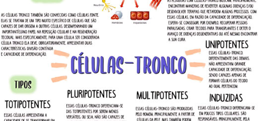 MAPA MENTAL SOBRE CELULASTRONCO