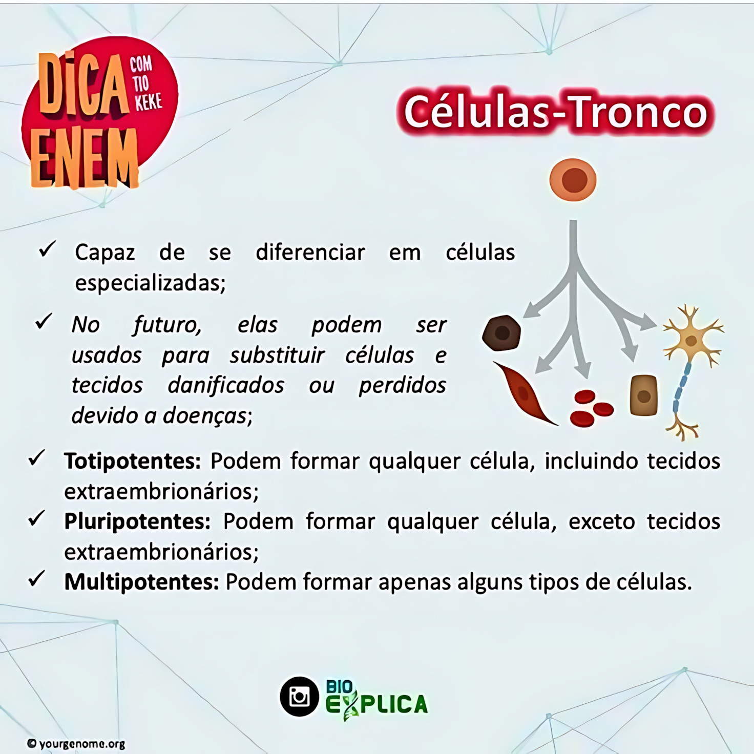 MAPA MENTAL SOBRE CÉLULAS-TRONCO