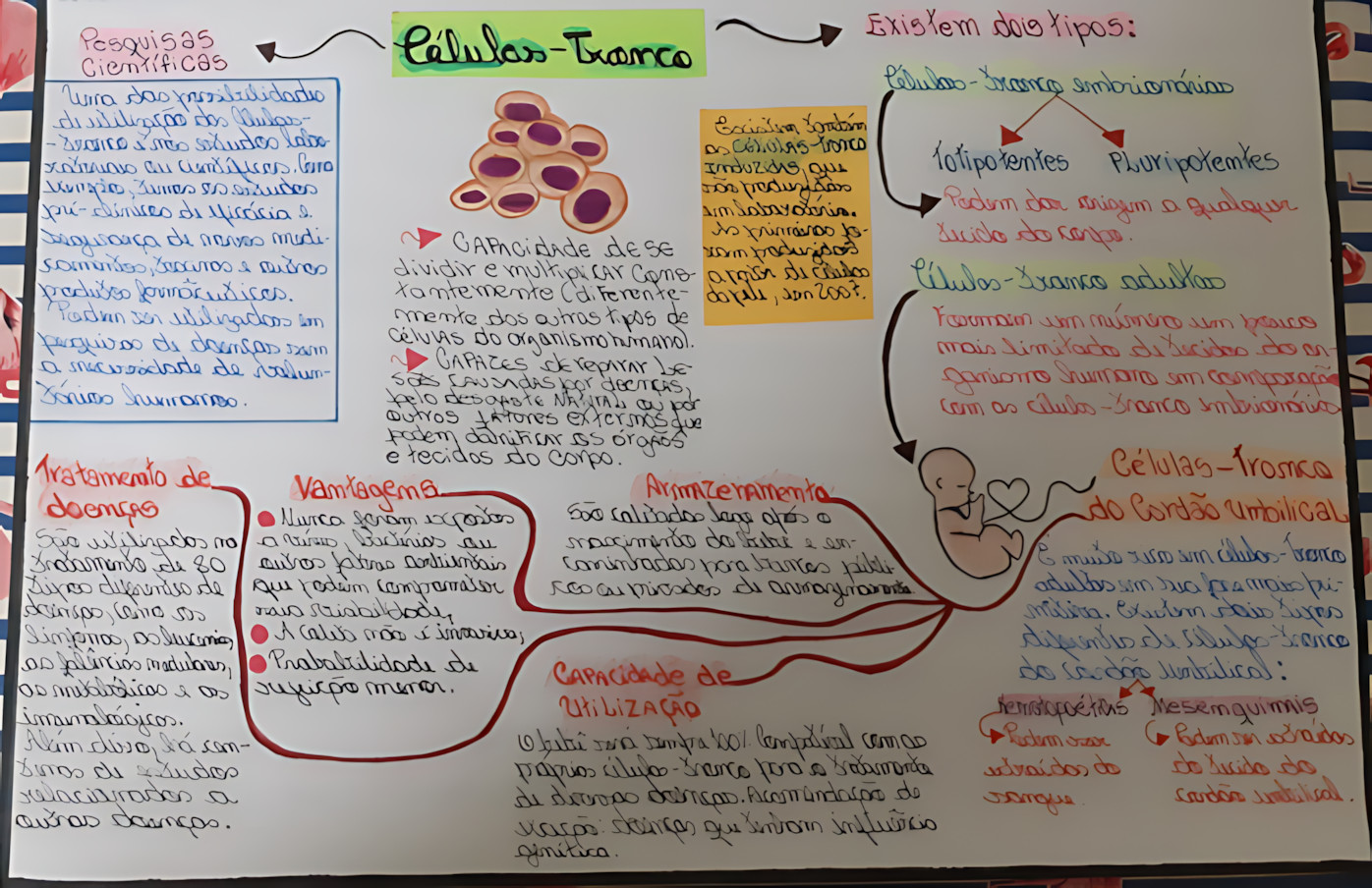 MAPA MENTAL SOBRE CÉLULAS-TRONCO