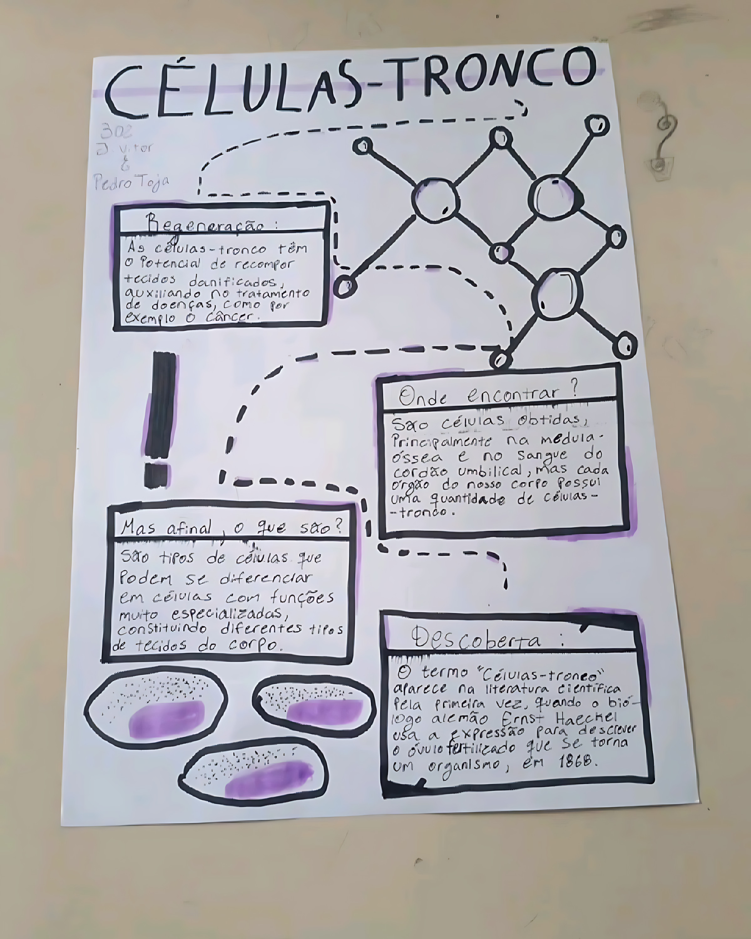 MAPA MENTAL SOBRE CÉLULAS-TRONCO