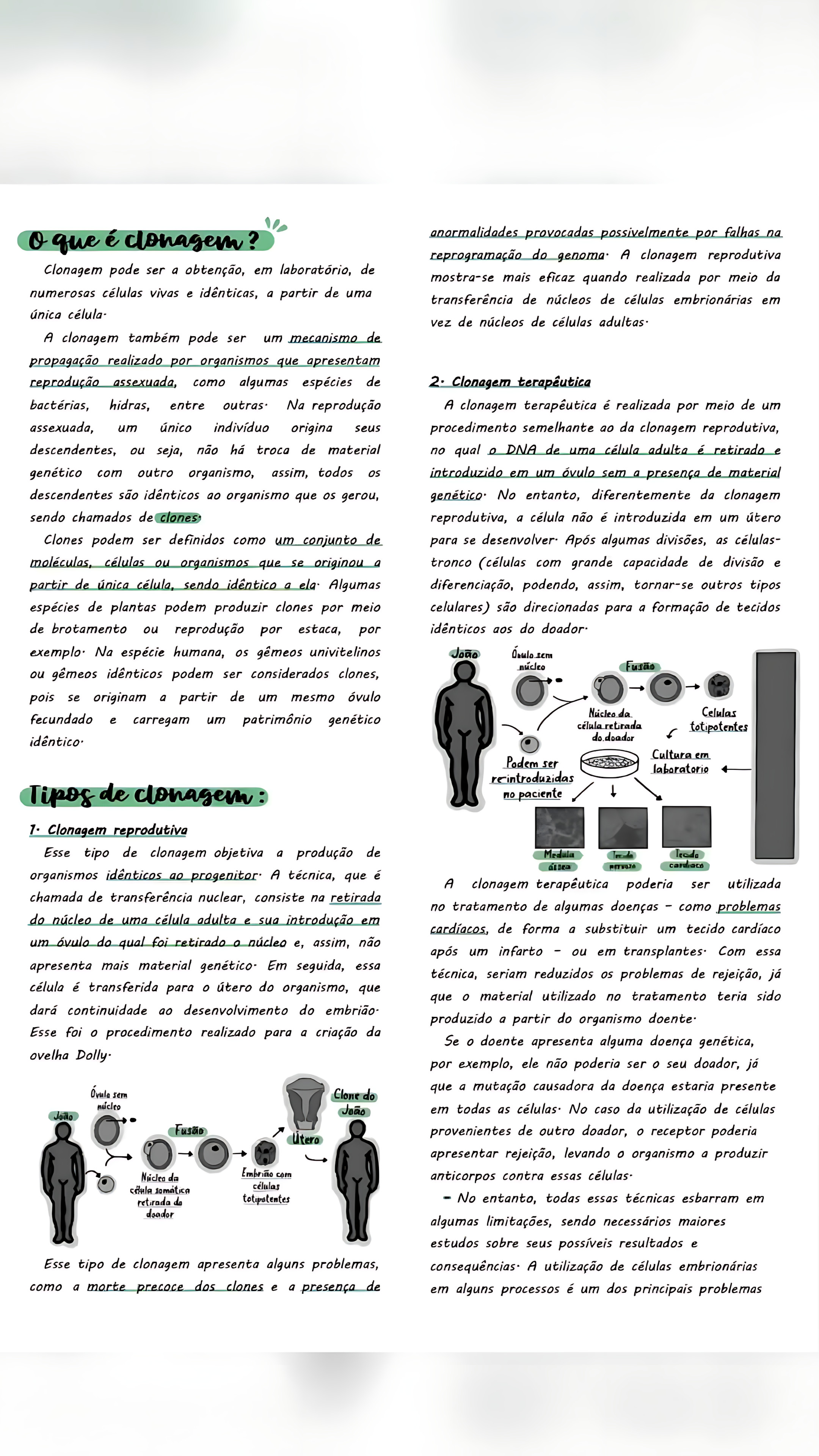 CLONAGEM