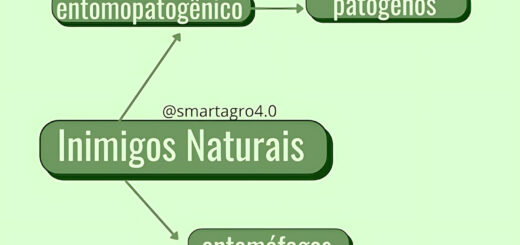 MAPA MENTAL SOBRE CONTROLE BIOLOGICO