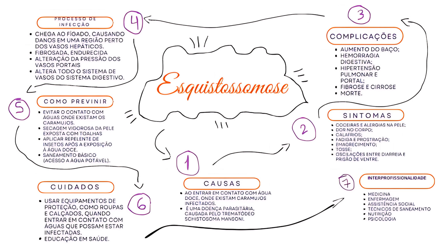 MAPA MENTAL SOBRE ESQUISTOSSOMOSE