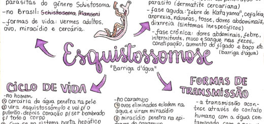 MAPA MENTAL SOBRE ESQUISTOSSOMOSE