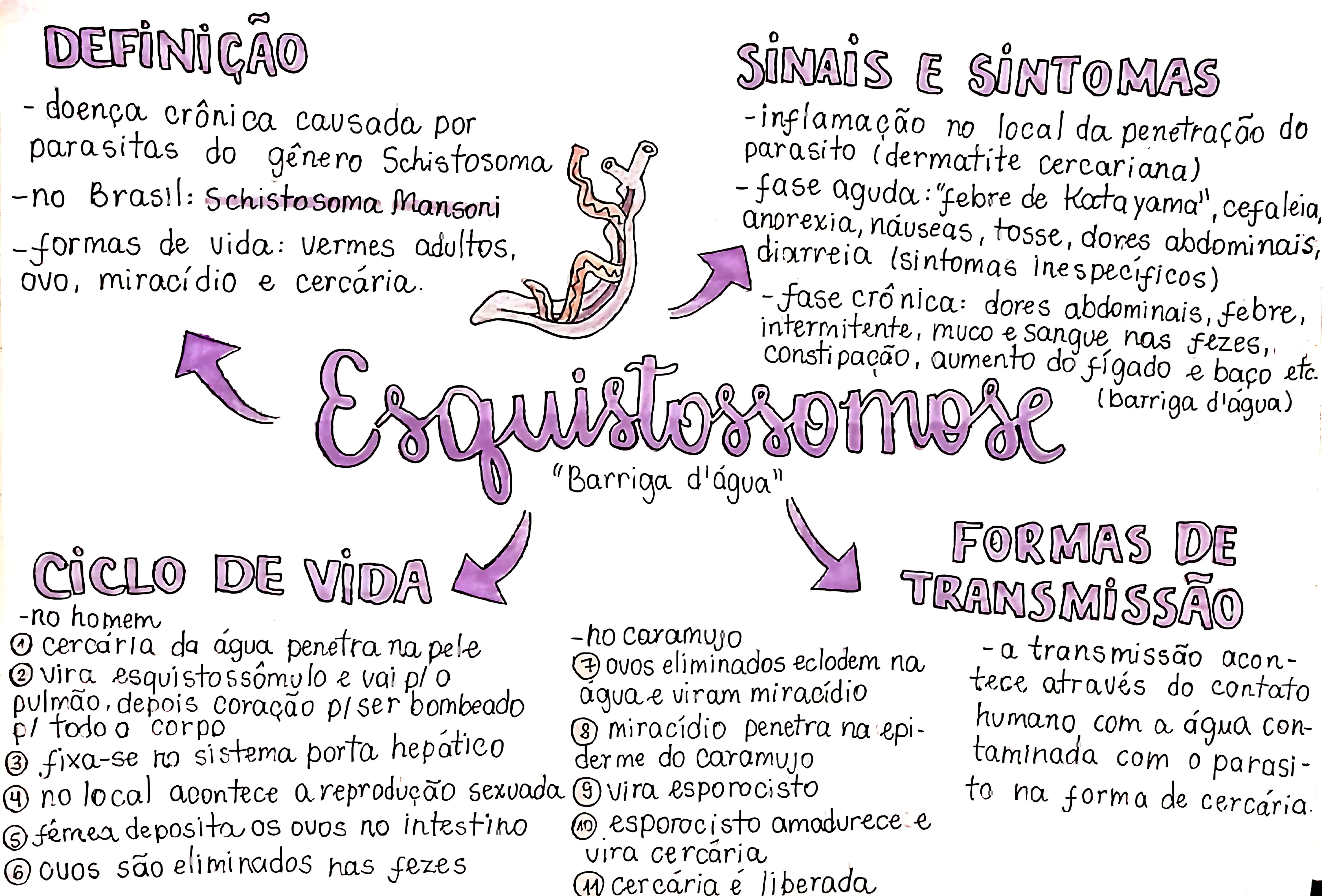 MAPA MENTAL SOBRE ESQUISTOSSOMOSE