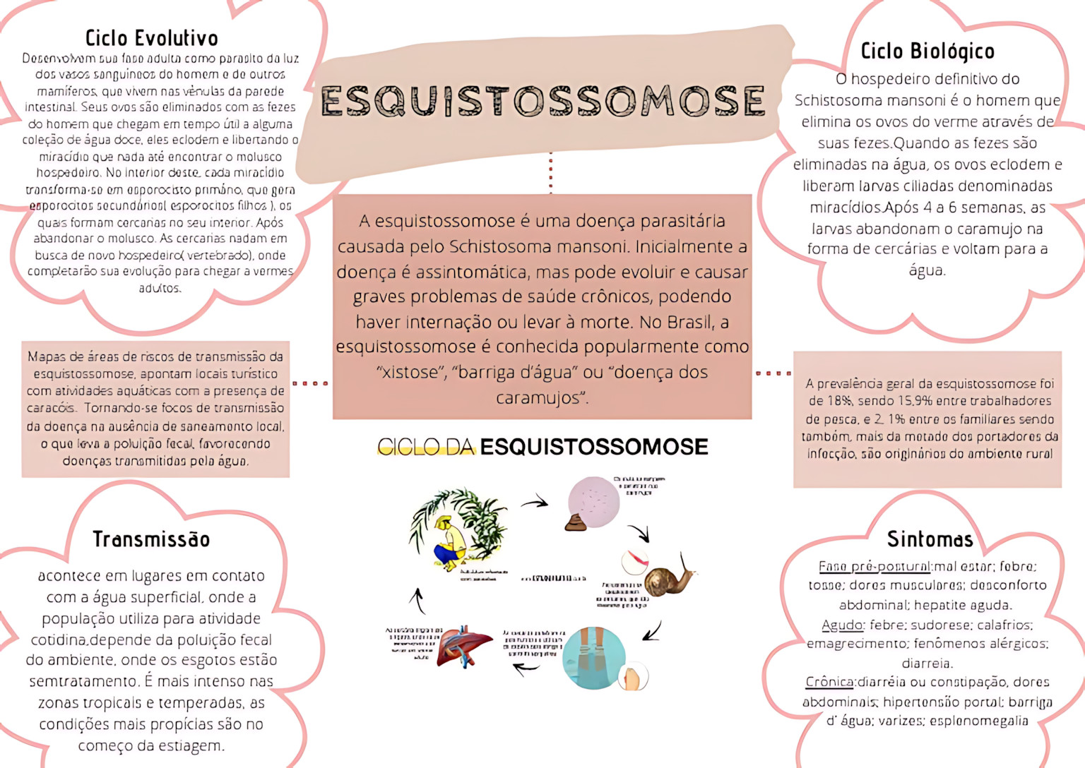MAPA MENTAL SOBRE ESQUISTOSSOMOSE