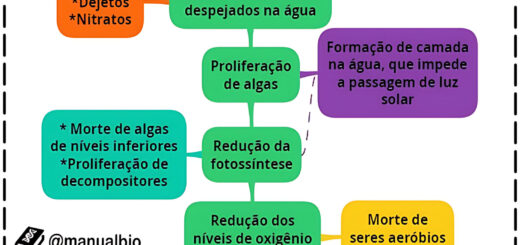 MAPA MENTAL SOBRE EUTROFIZACAO