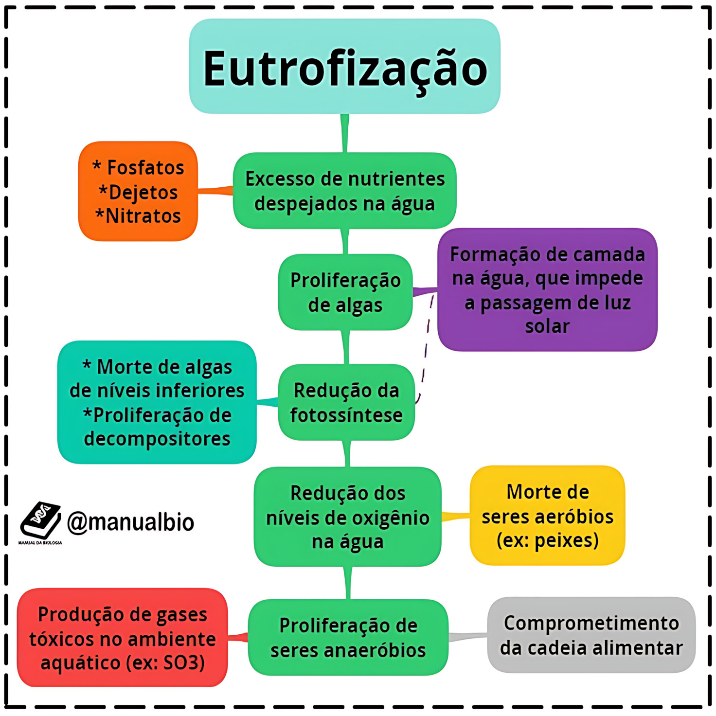 MAPA MENTAL SOBRE EUTROFIZACAO