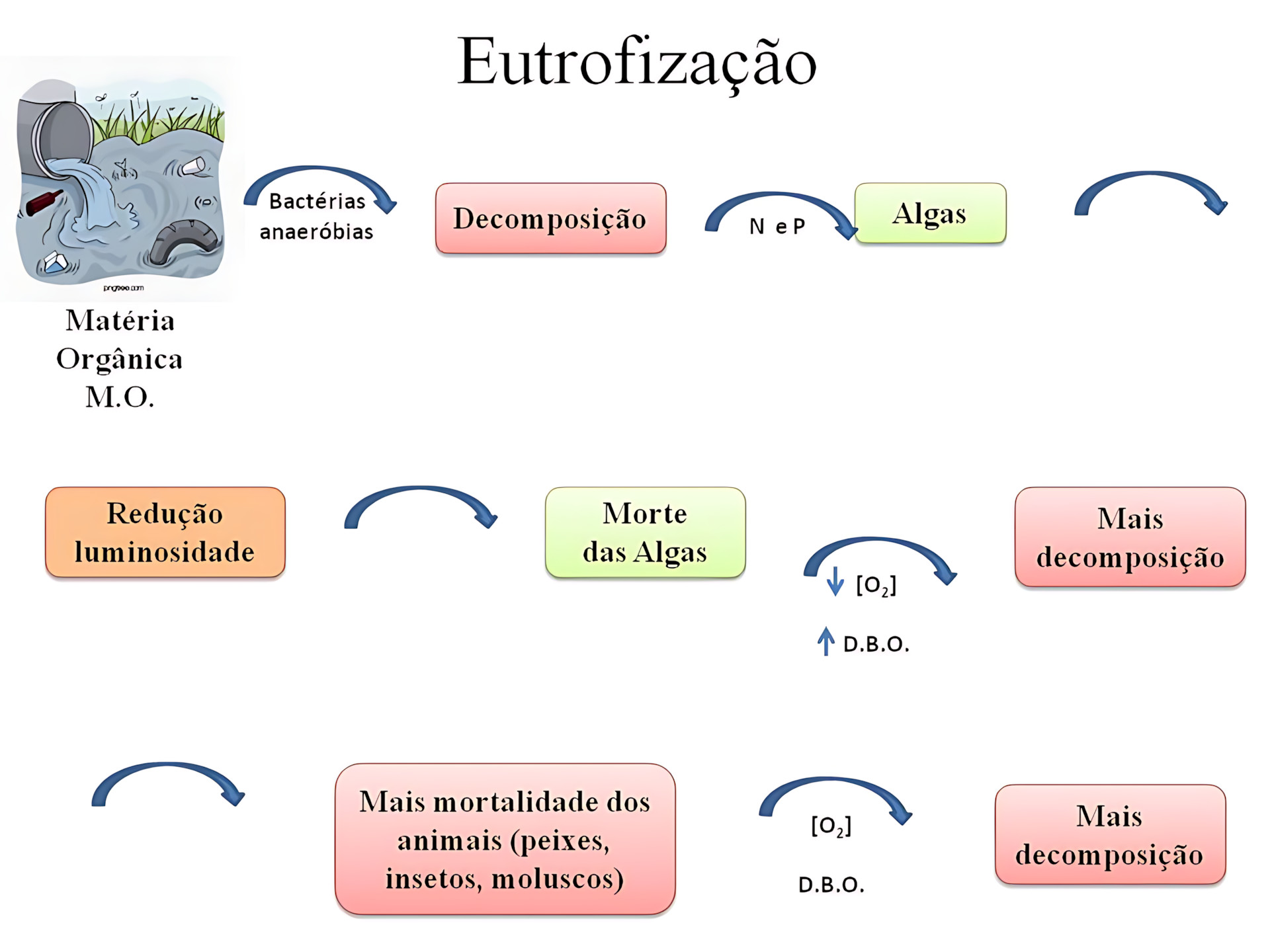 EUTROFIZAÇÃO