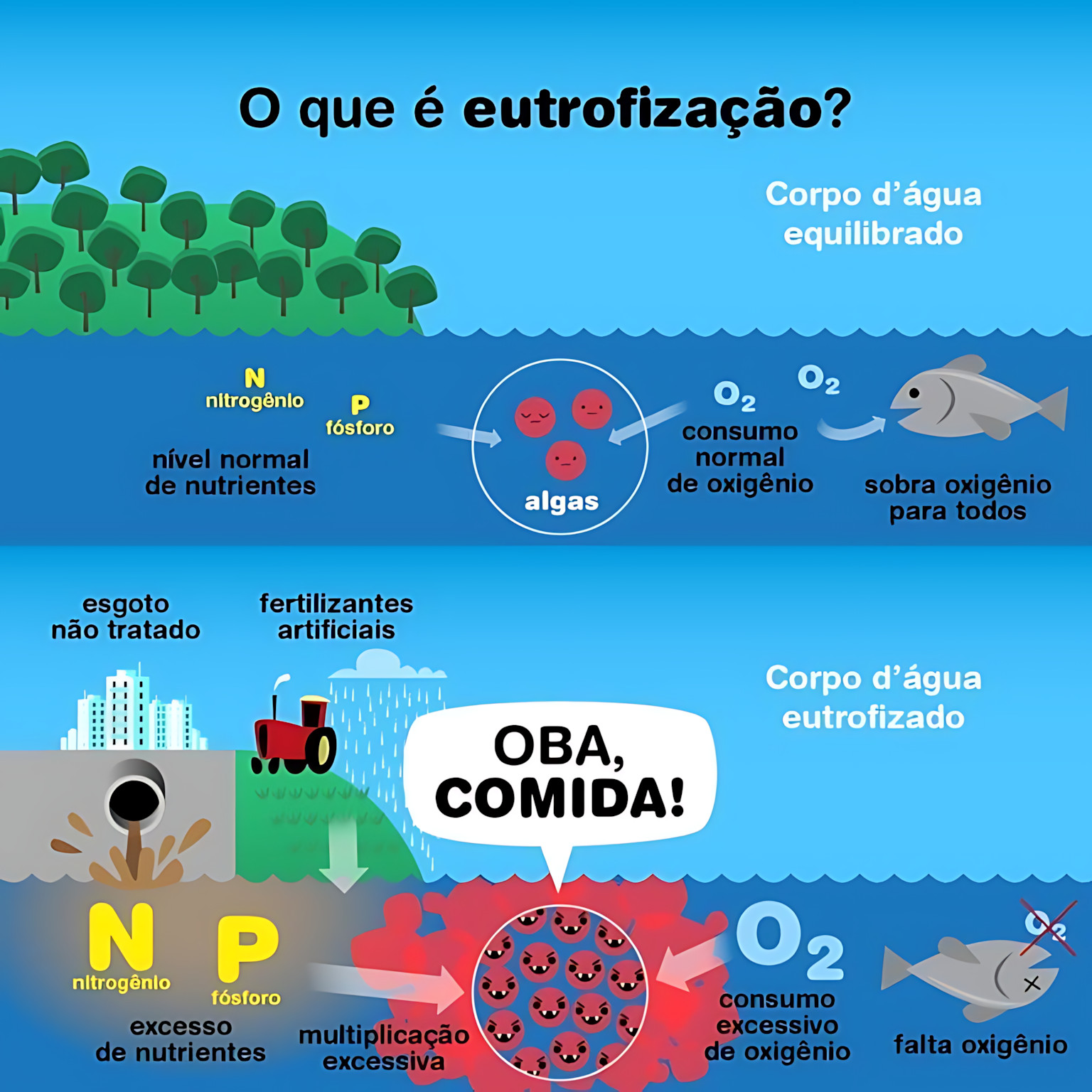 EUTROFIZAÇÃO