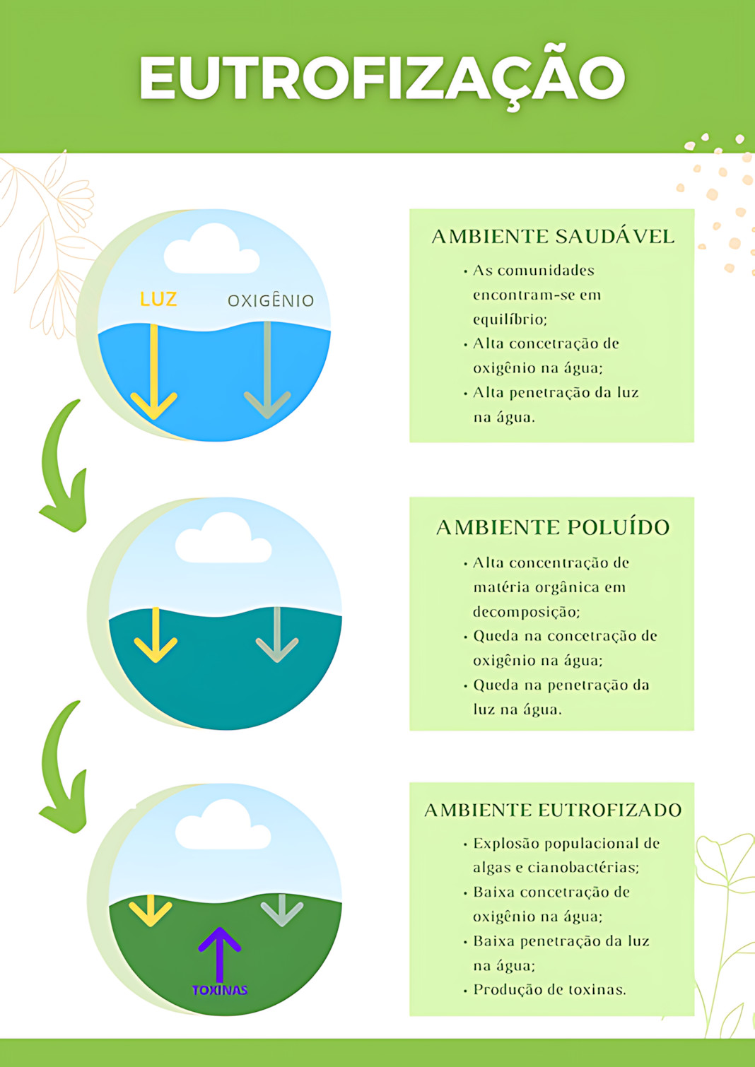 EUTROFIZAÇÃO