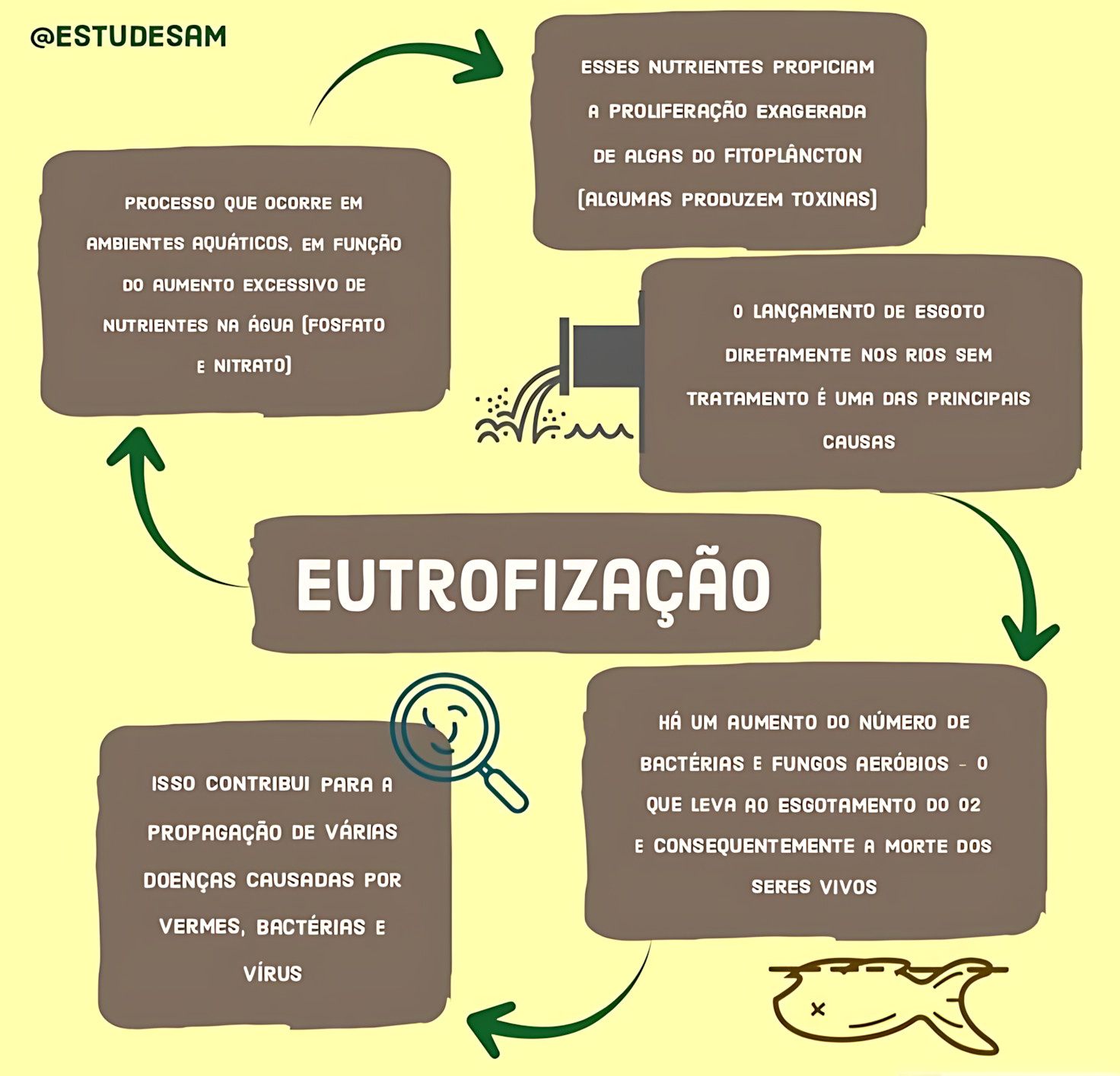 EUTROFIZAÇÃO
