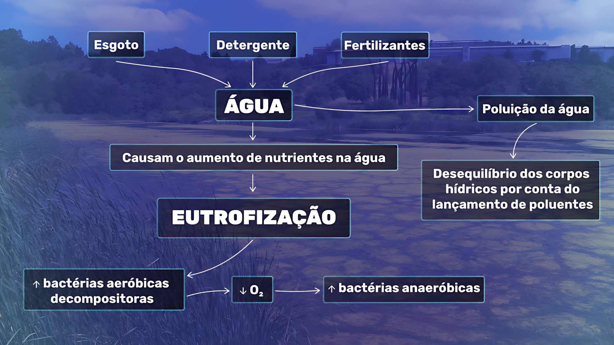 EUTROFIZAÇÃO