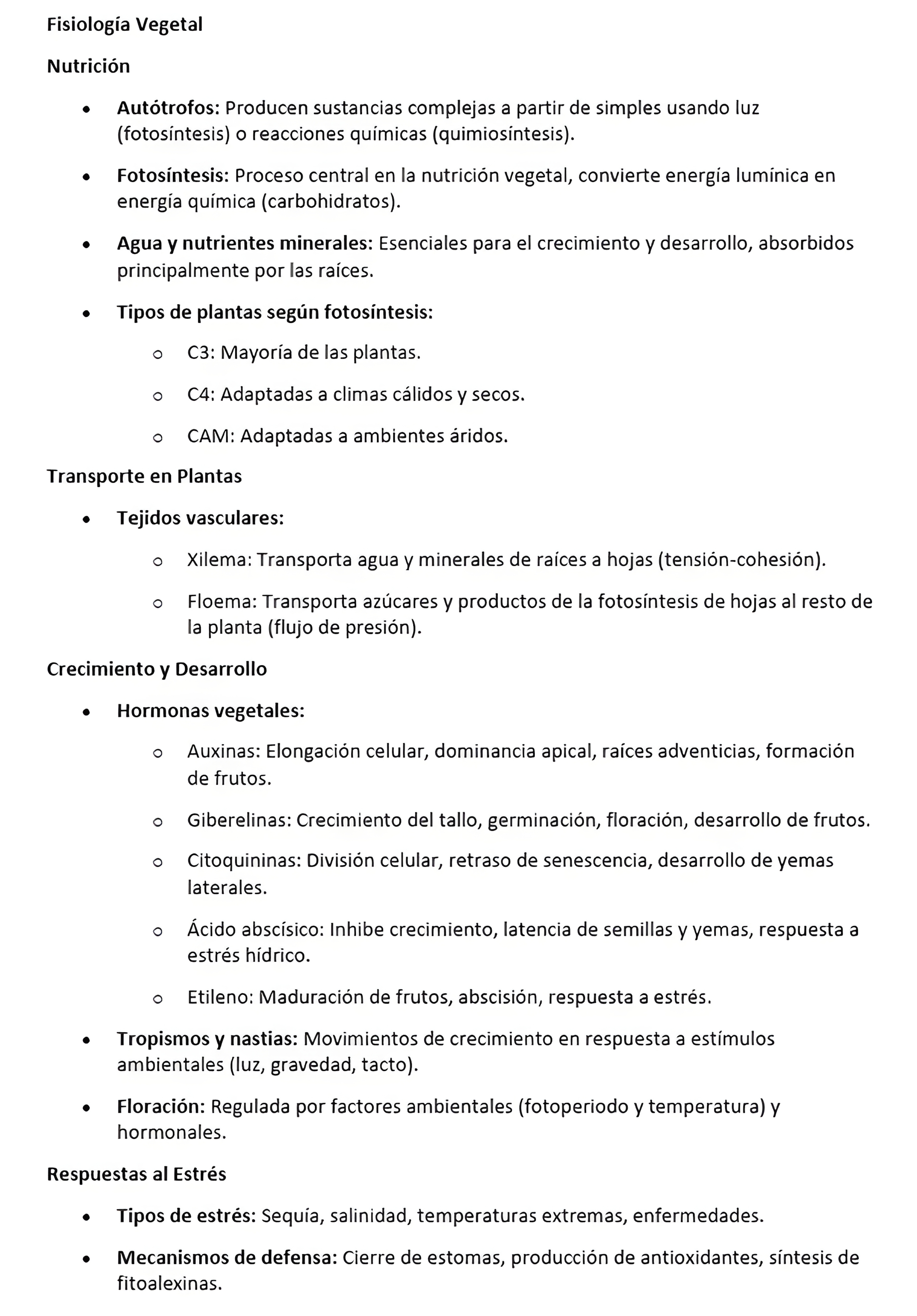 MAPA MENTAL SOBRE FISIOLOGIA VEGETAL