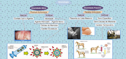MAPA MENTAL SOBRE IMUNIDADE ATIVA E PASSIVA