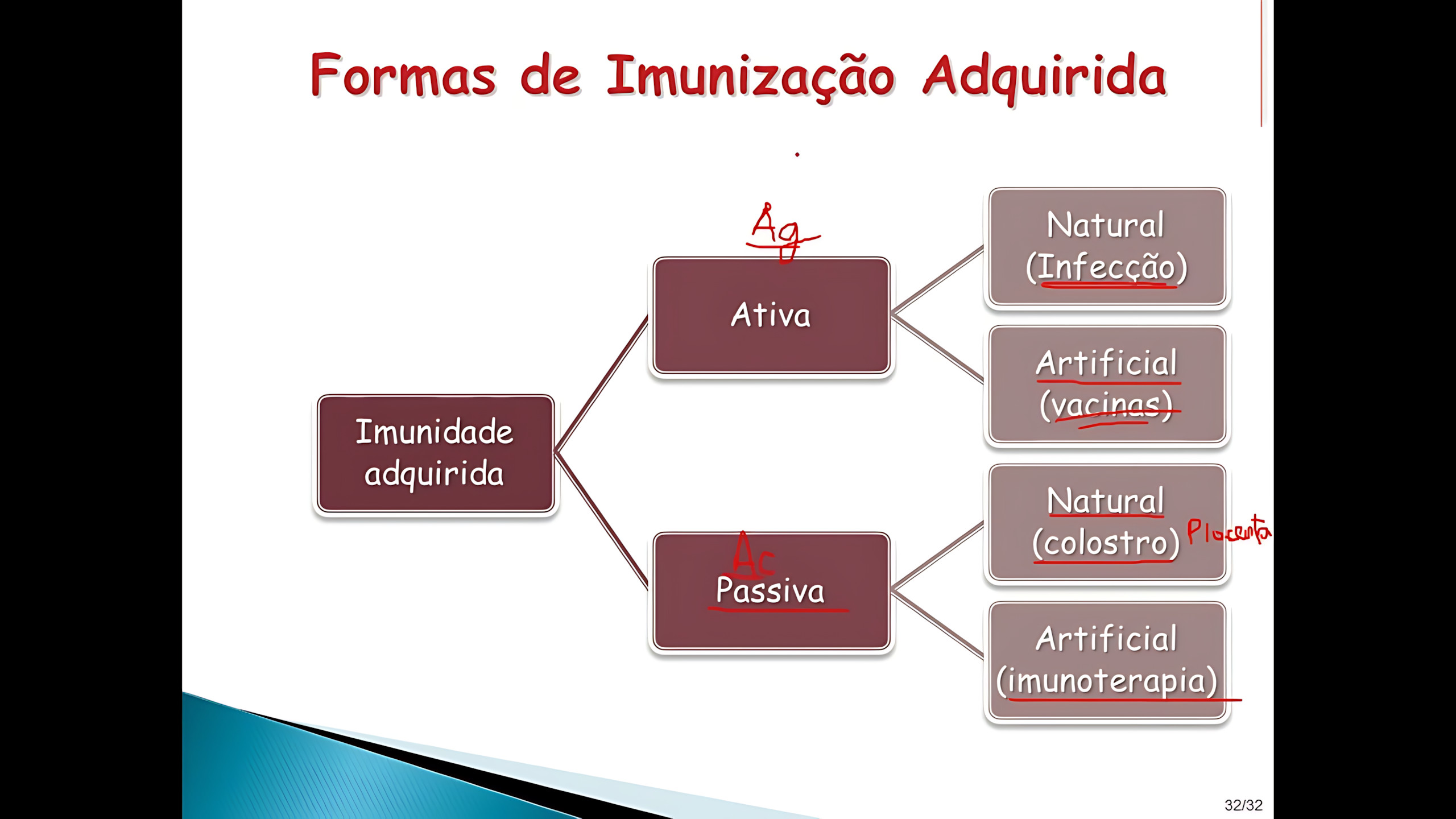 IMUNIDADE ATIVA E PASSIVA