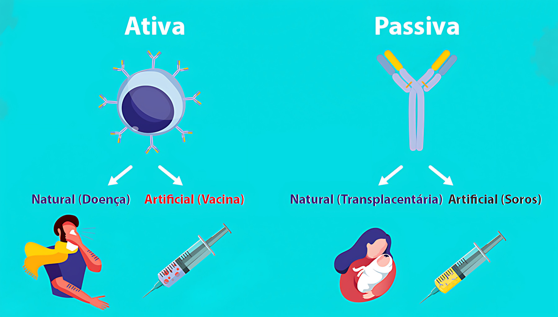 IMUNIDADE ATIVA E PASSIVA