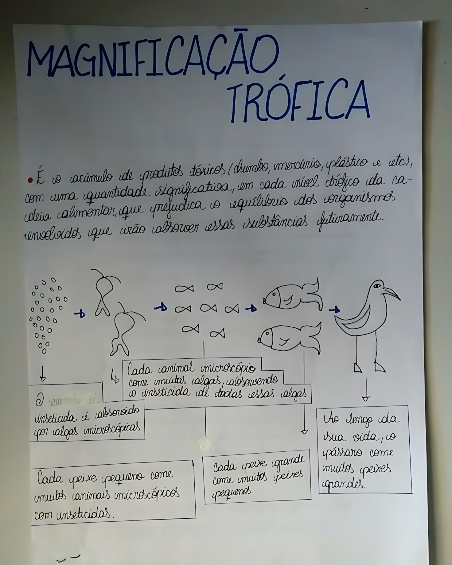 MAPA MENTAL SOBRE MAGNIFICACAO TROFICA