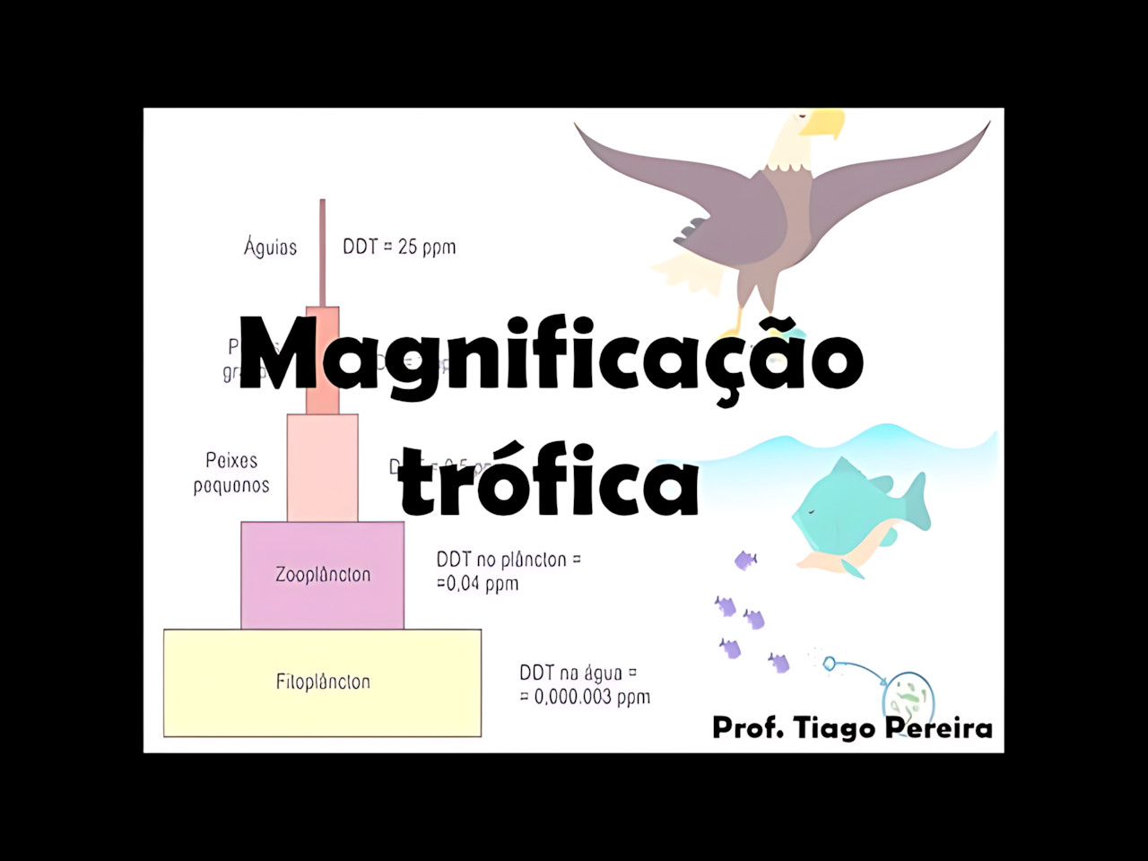 MAPA MENTAL SOBRE MAGNIFICAÇÃO TRÓFICA