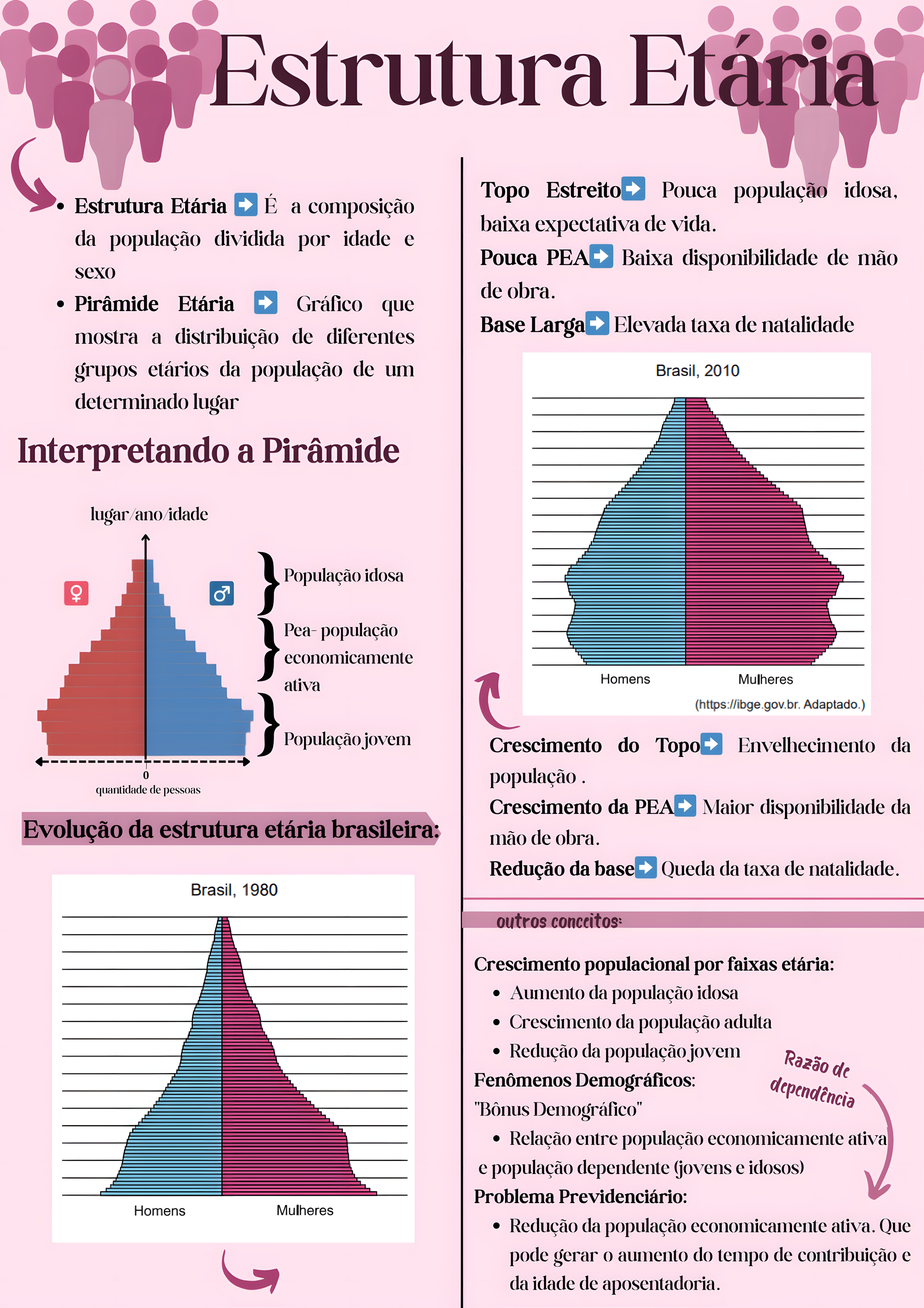 MAPA MENTAL SOBRE PIRAMIDE ETARIA