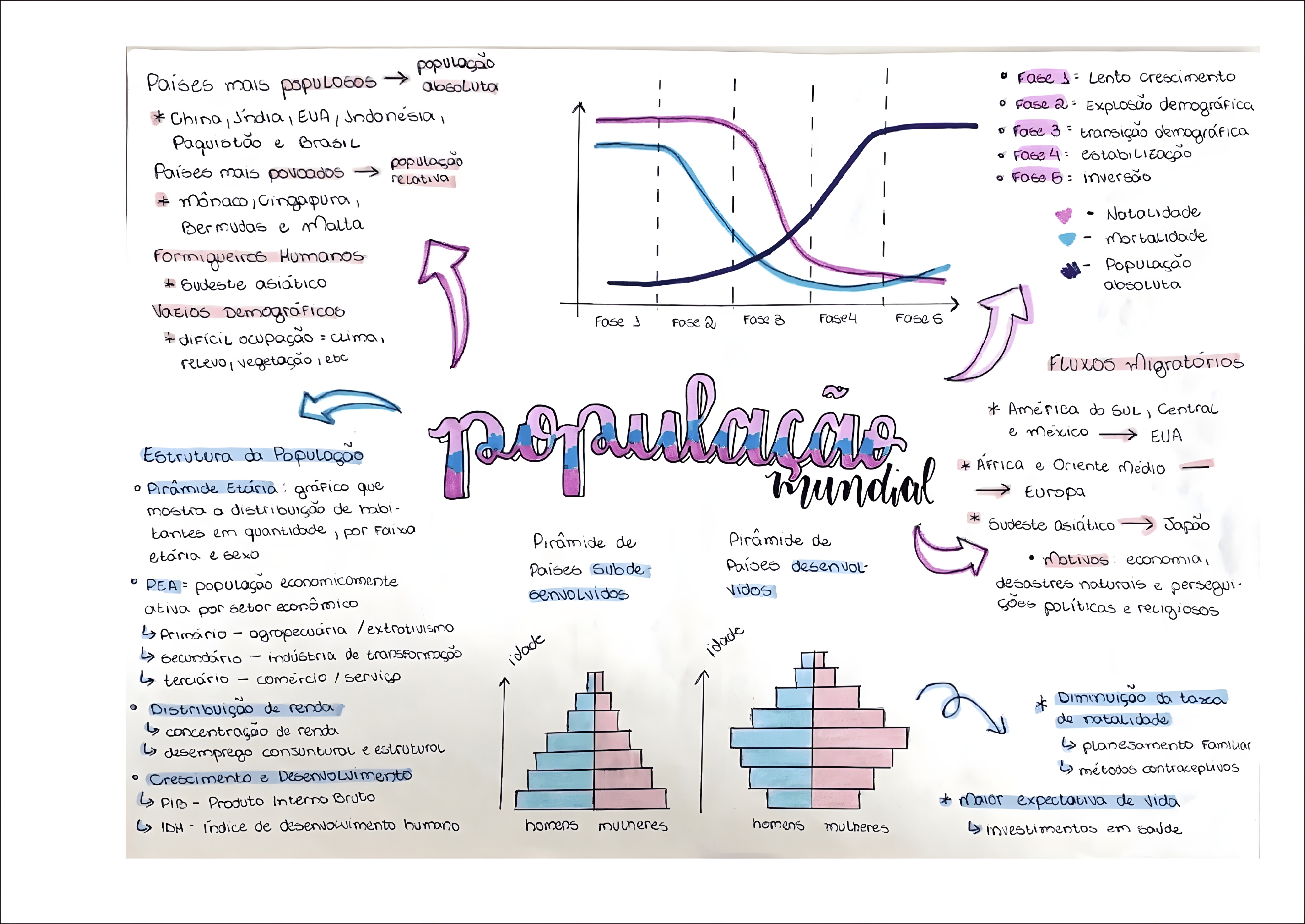MAPA MENTAL SOBRE PIRAMIDE ETARIA