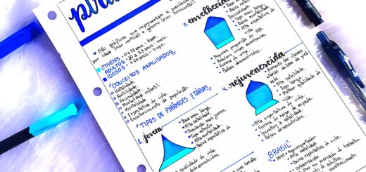 MAPA MENTAL SOBRE PIRAMIDE ETARIA