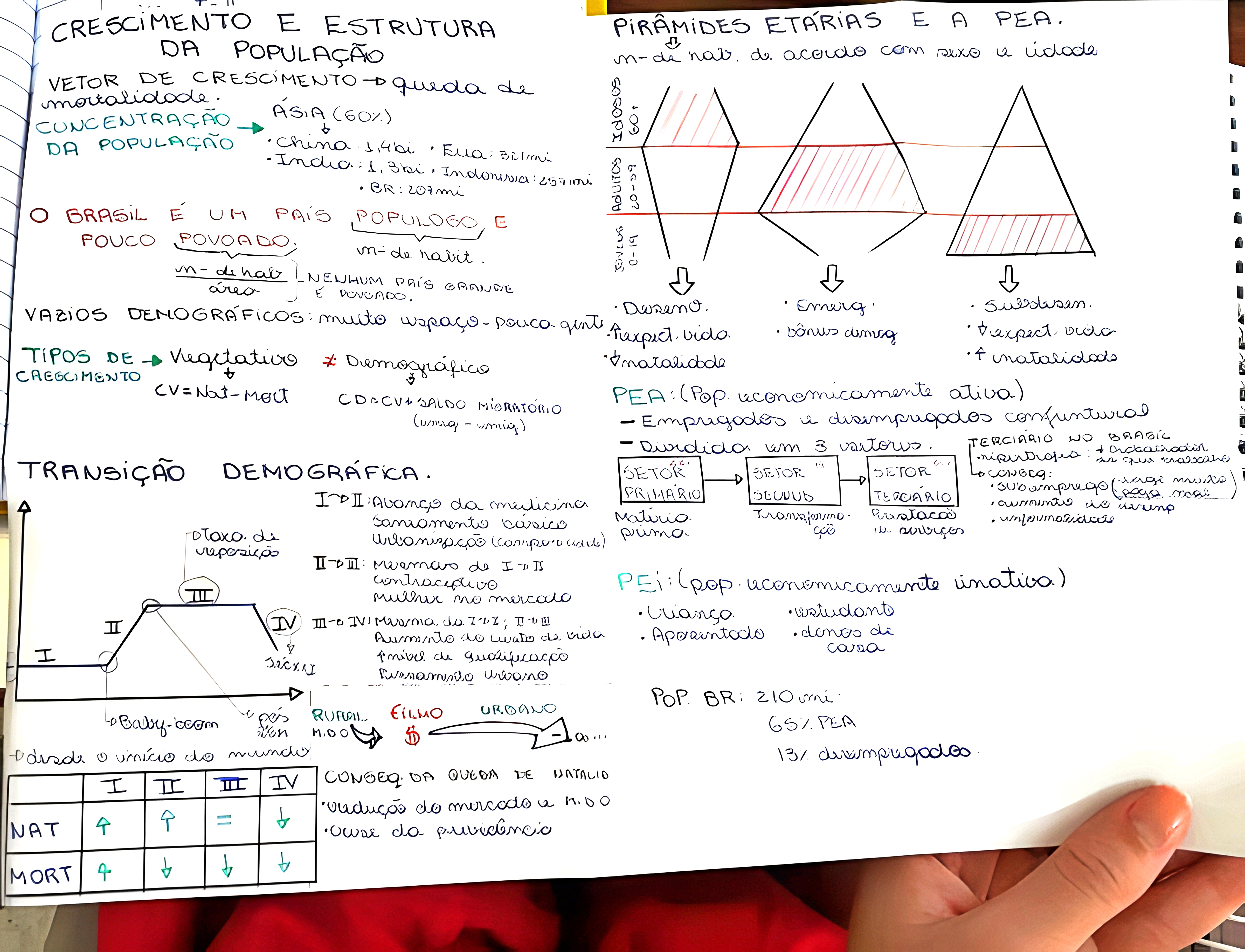 MAPA MENTAL SOBRE PIRAMIDE ETARIA