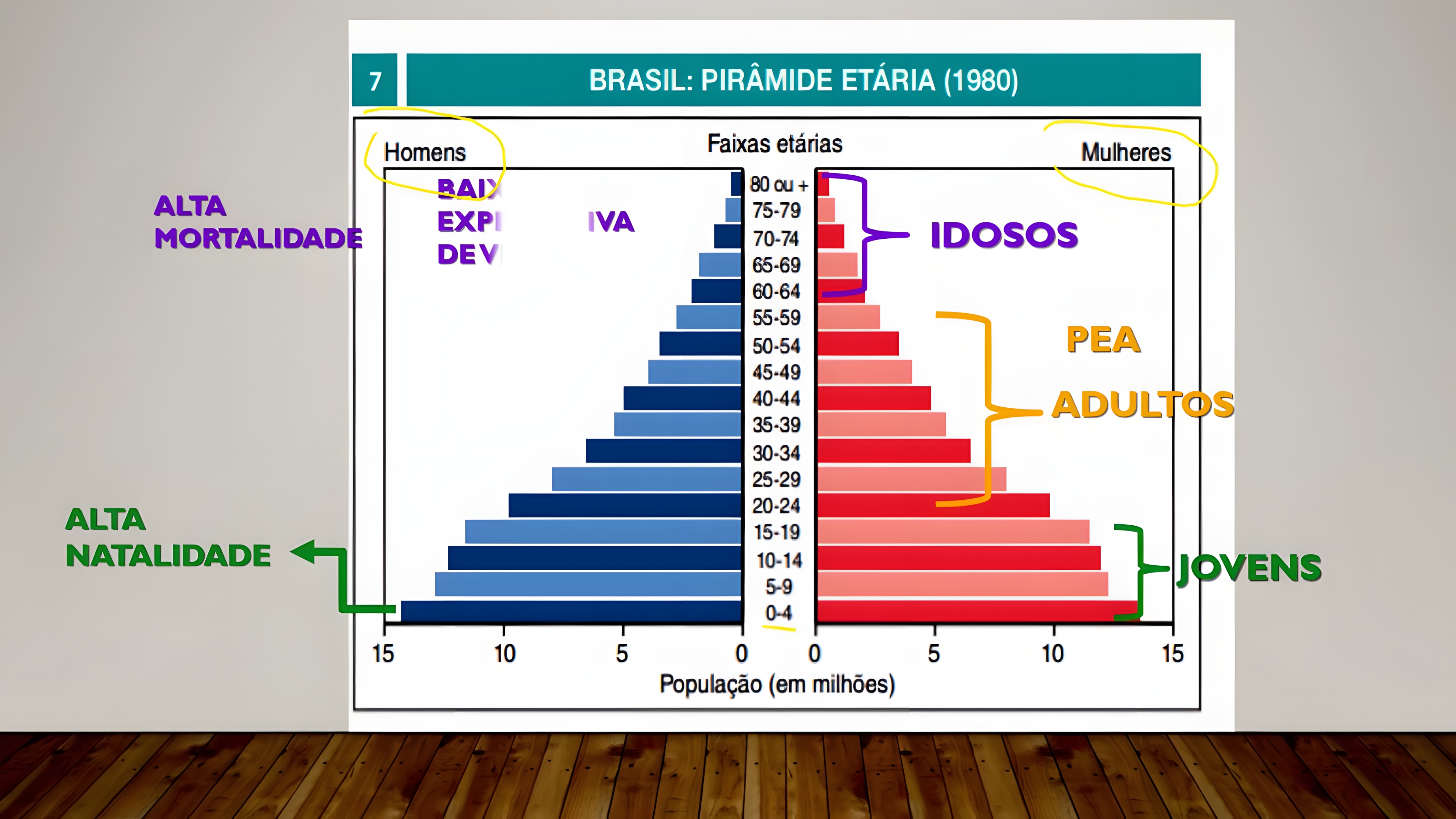 MAPA MENTAL SOBRE PIRAMIDE ETARIA
