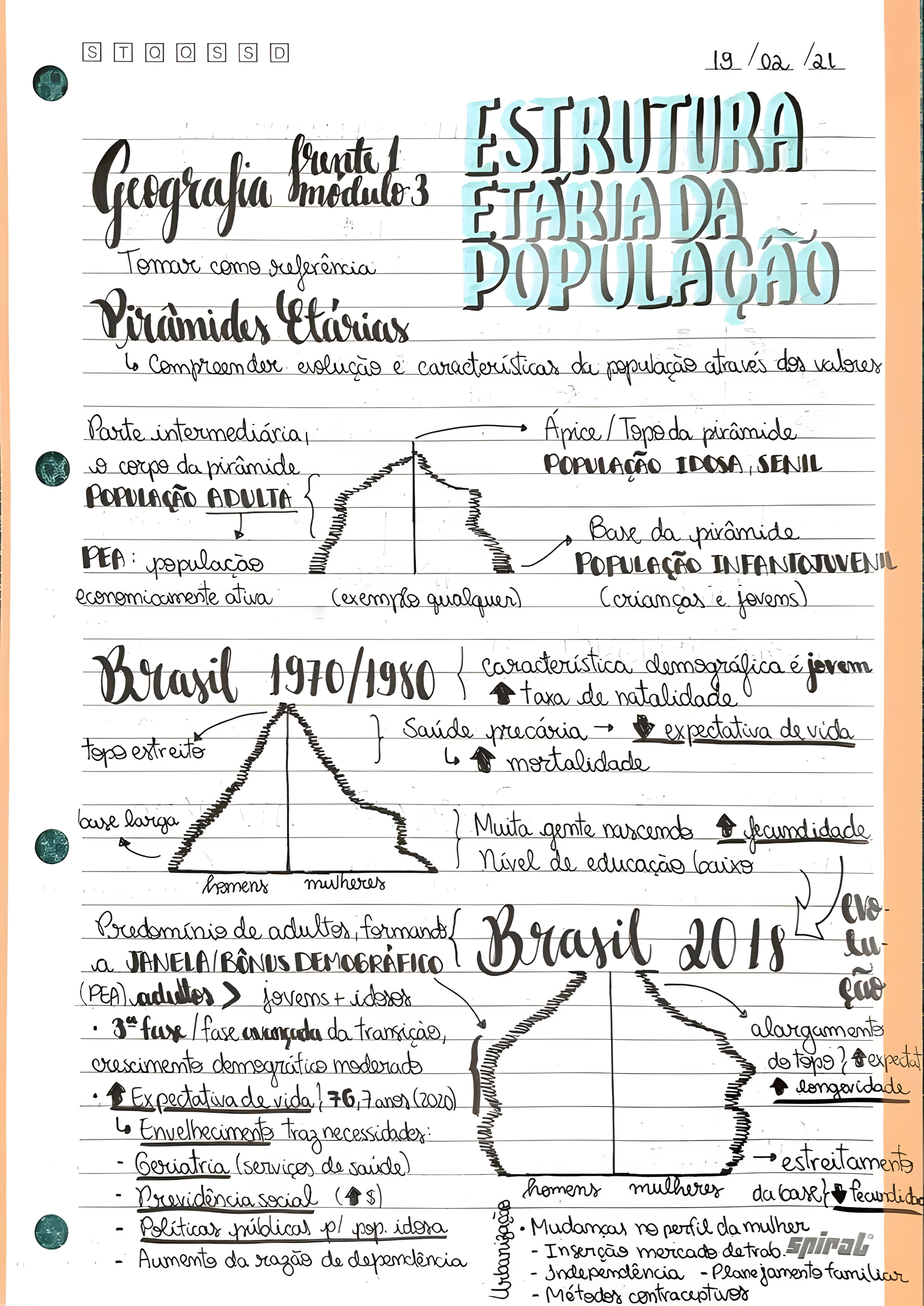 MAPA MENTAL SOBRE PIRAMIDE ETARIA