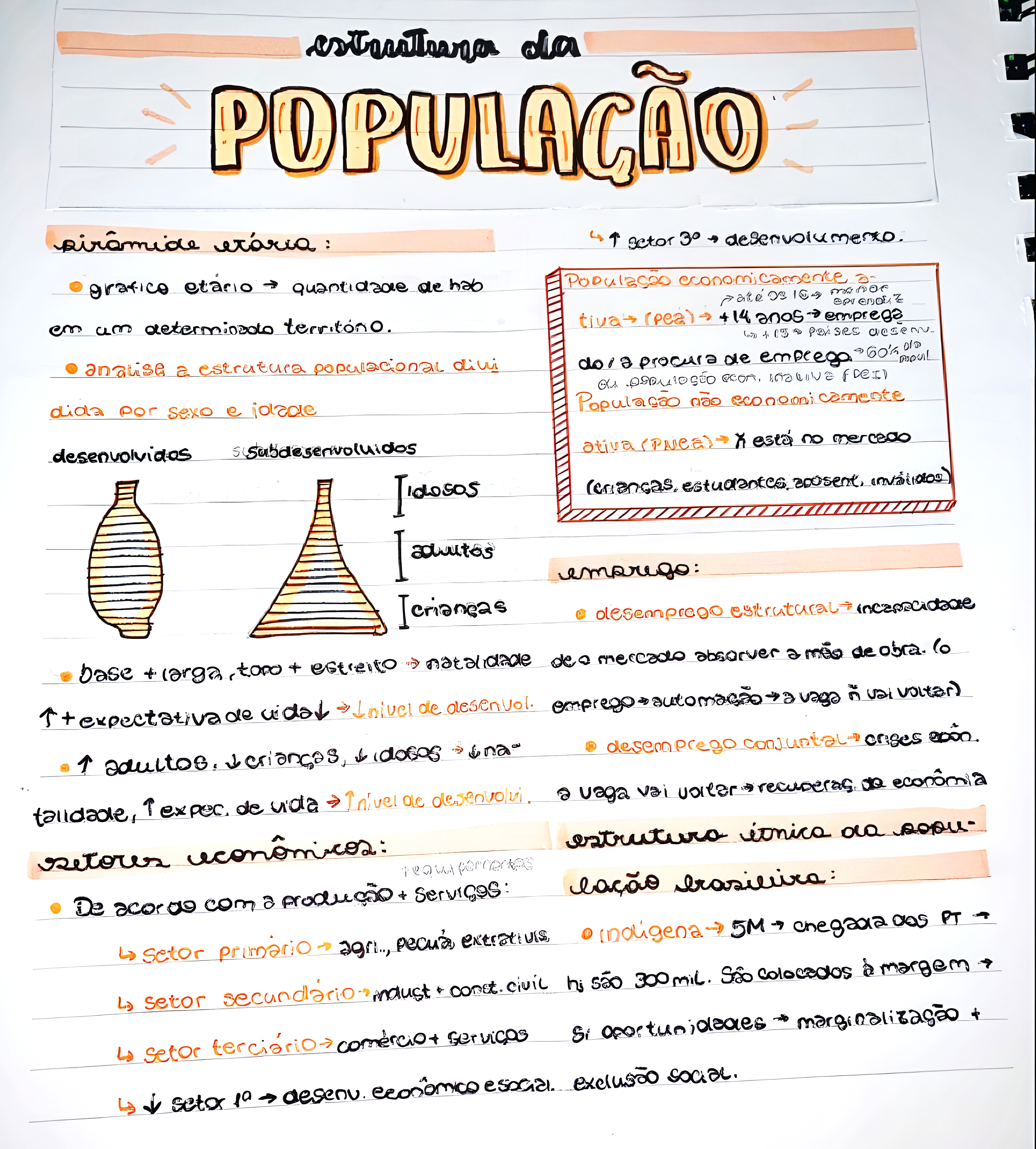 MAPA MENTAL SOBRE PIRAMIDE ETARIA