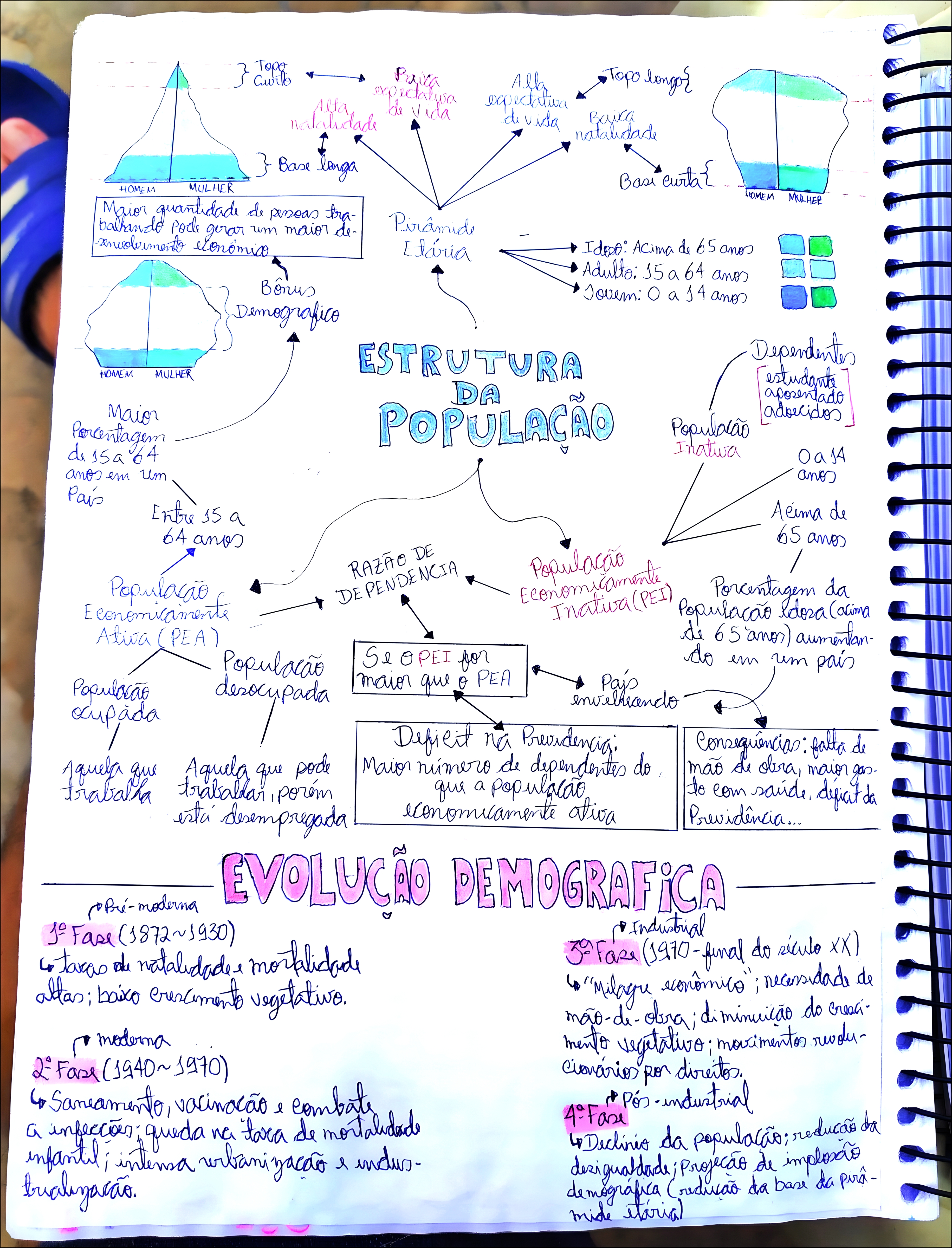 MAPA MENTAL SOBRE PIRAMIDE ETARIA
