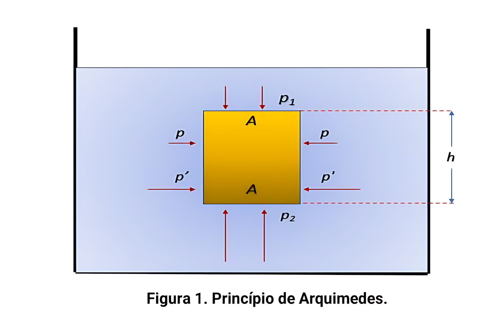 MAPA MENTAL SOBRE PRINCÍPIO DE ARQUIMEDES