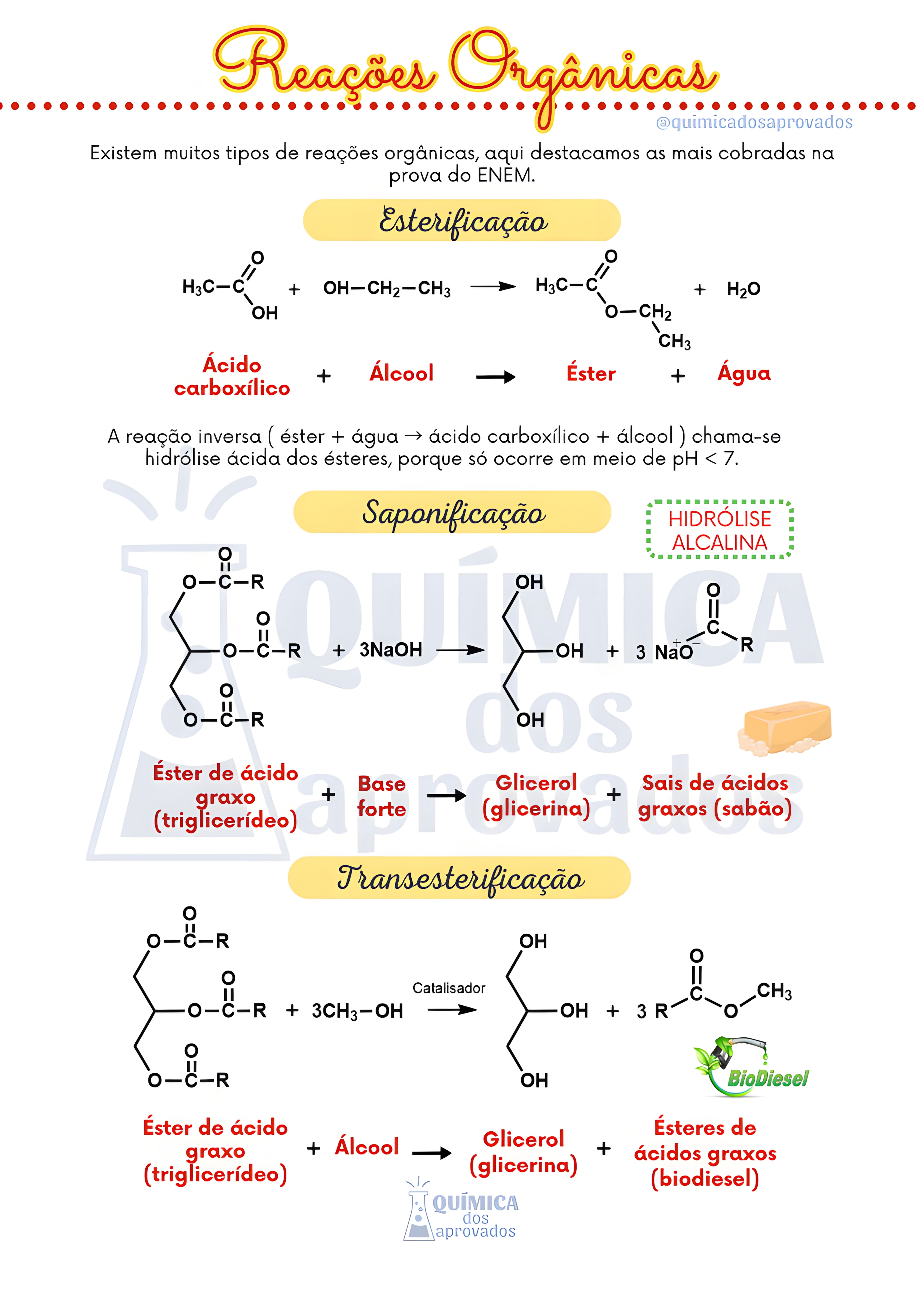 MAPA MENTAL SOBRE REACOES ORGANICAS