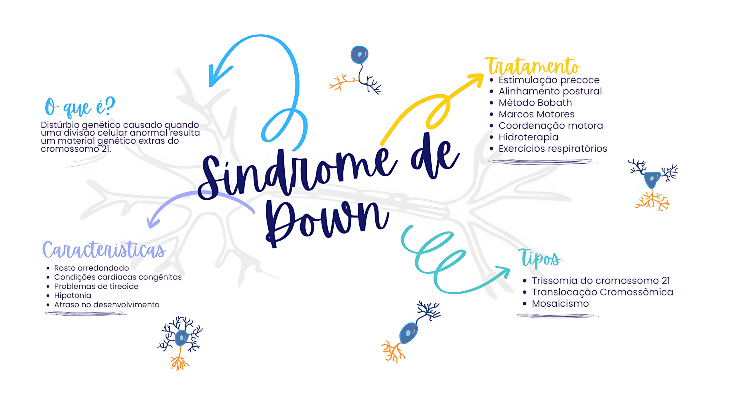 MAPA MENTAL SOBRE SÍNDROME DE DOWN