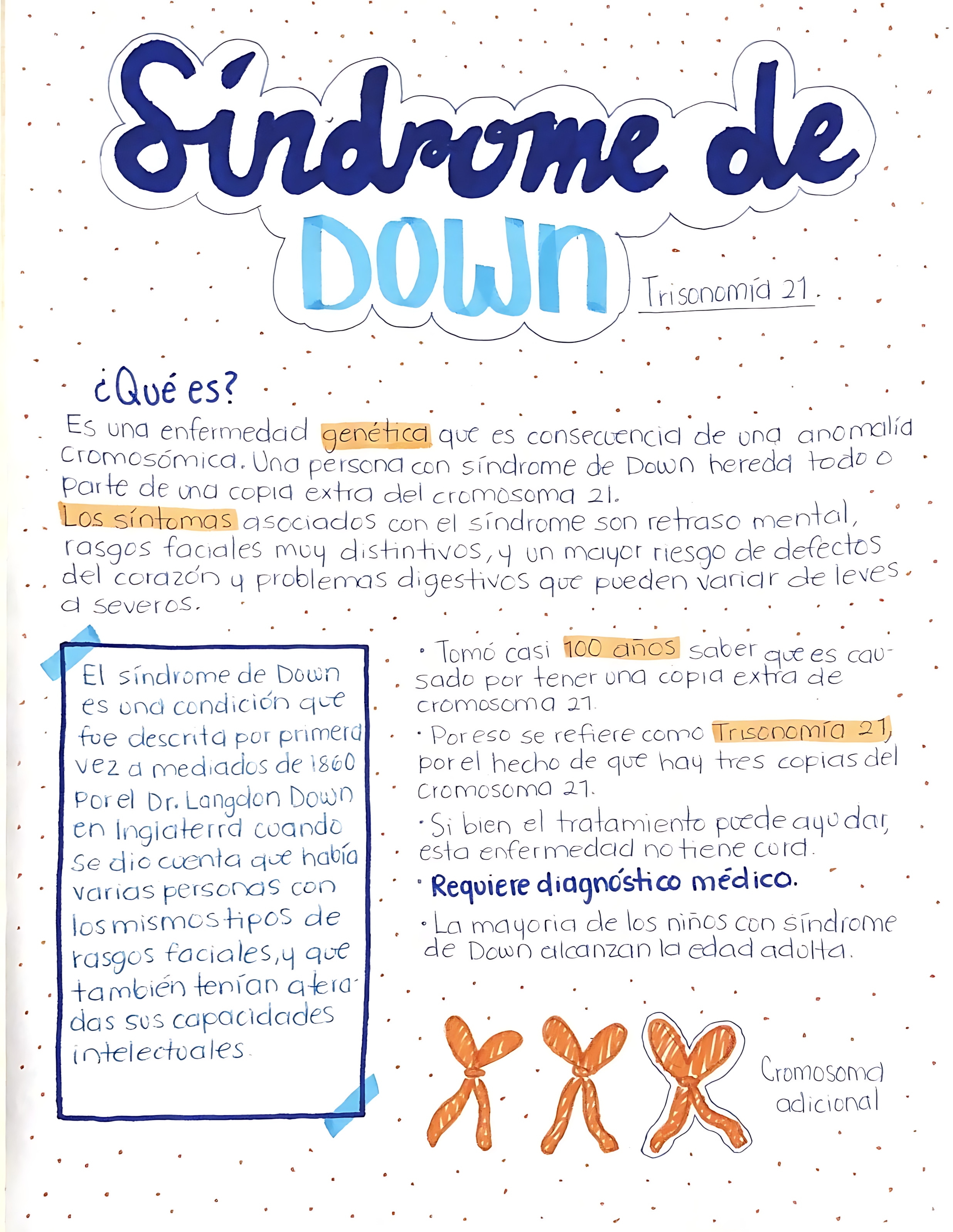 MAPA MENTAL SOBRE SÍNDROME DE DOWN